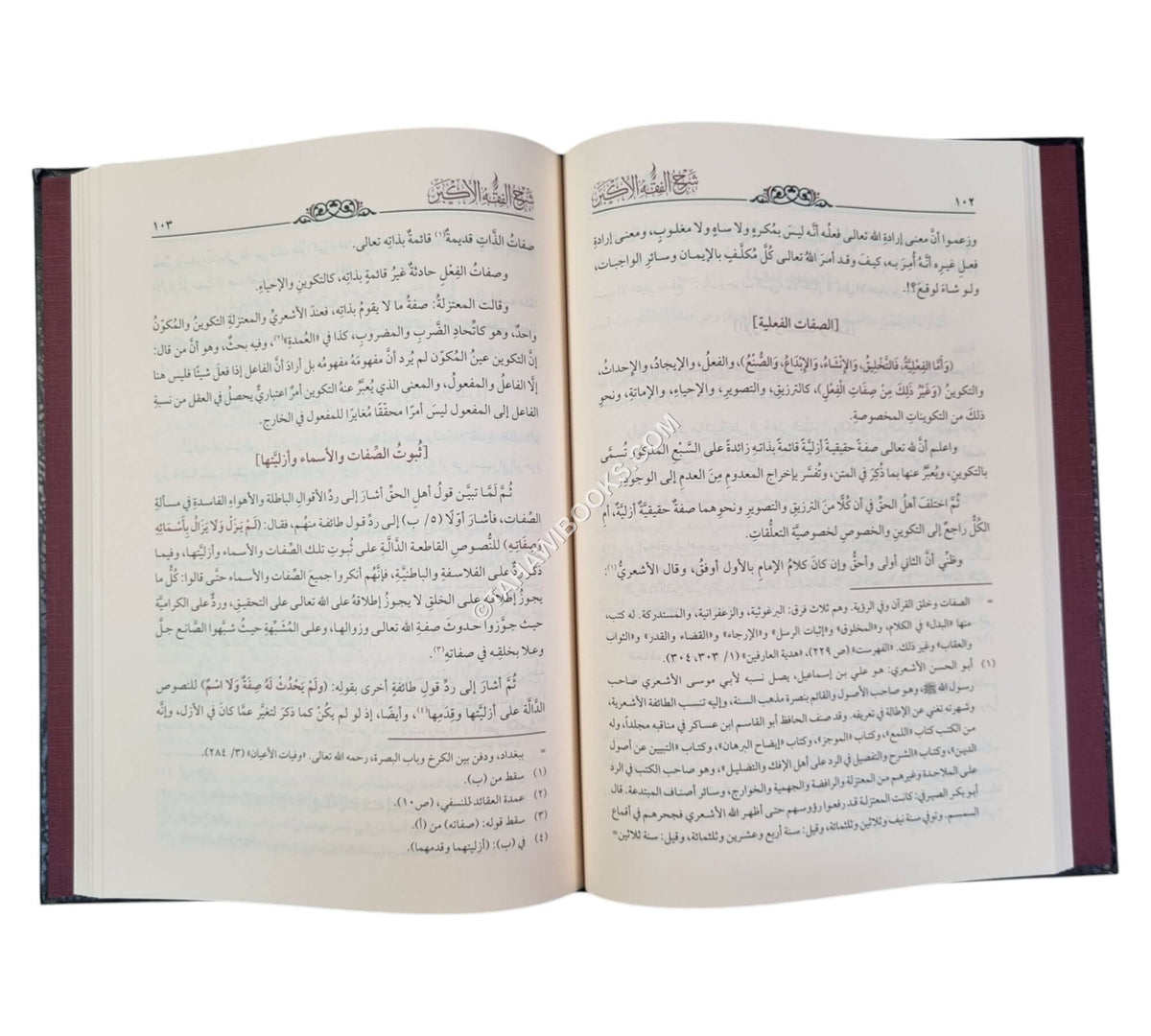 شرح الفقه الأكبر للبخاري