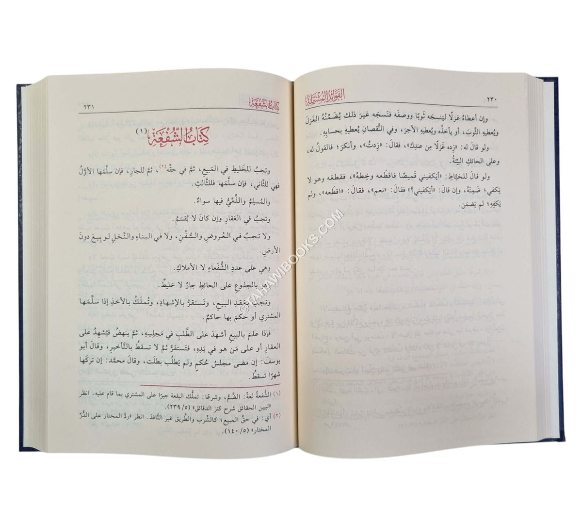 الفوائد المشتملة على مسائل المختصر والتكملة