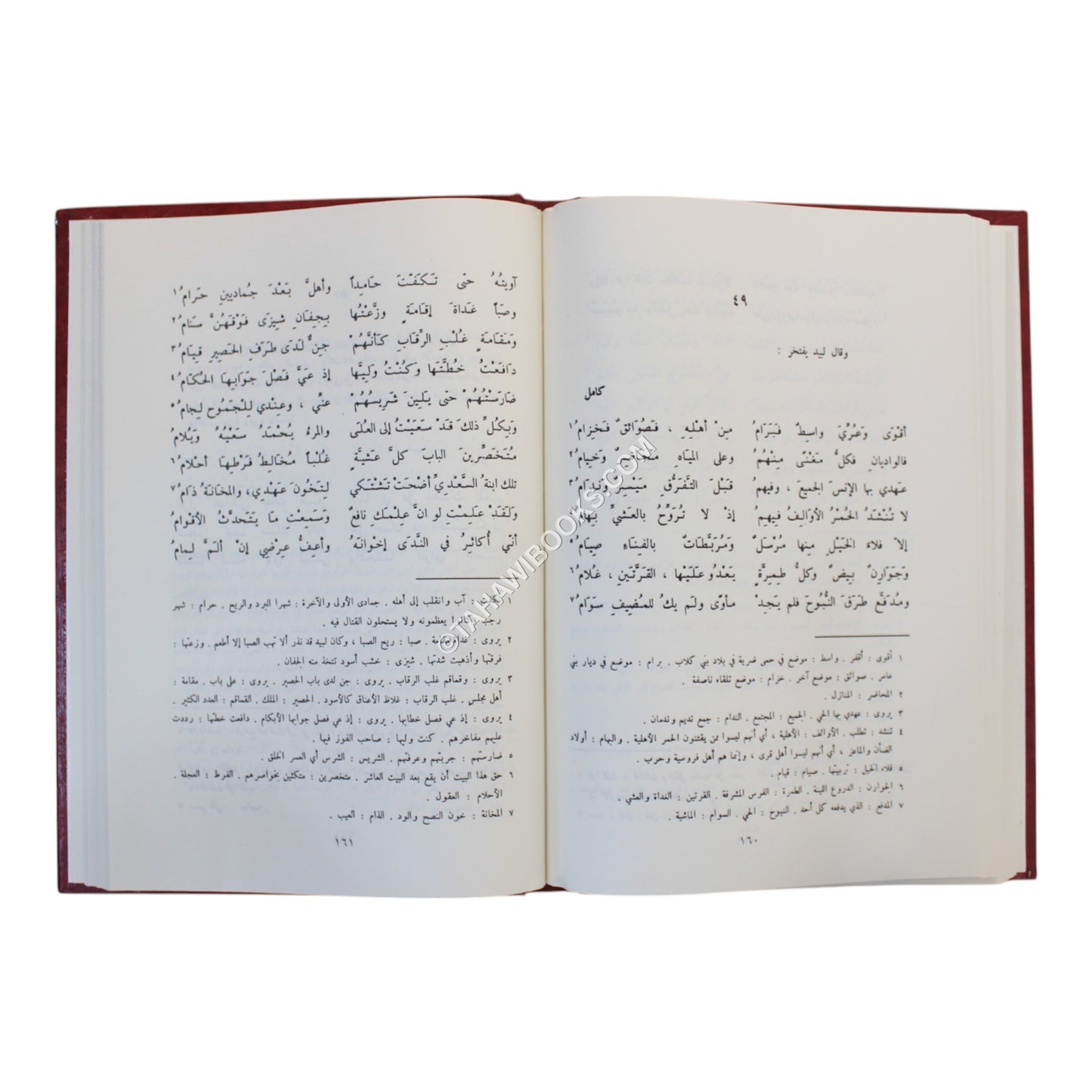ديوان لبيد بن ربيعة العامري