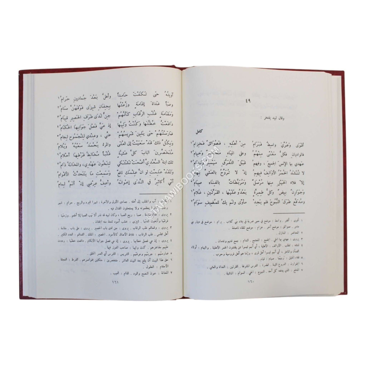 ديوان لبيد بن ربيعة العامري