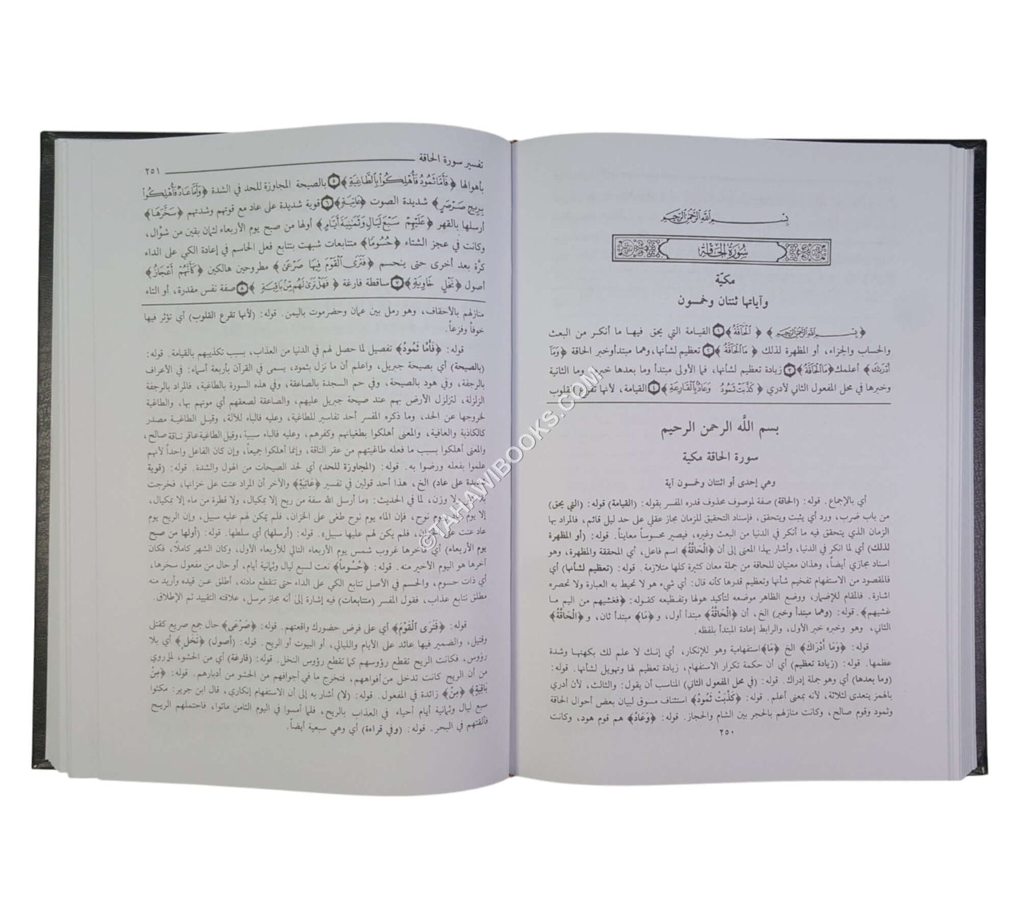 حاشية الصاوي على تفسير الجلالين-العلمية