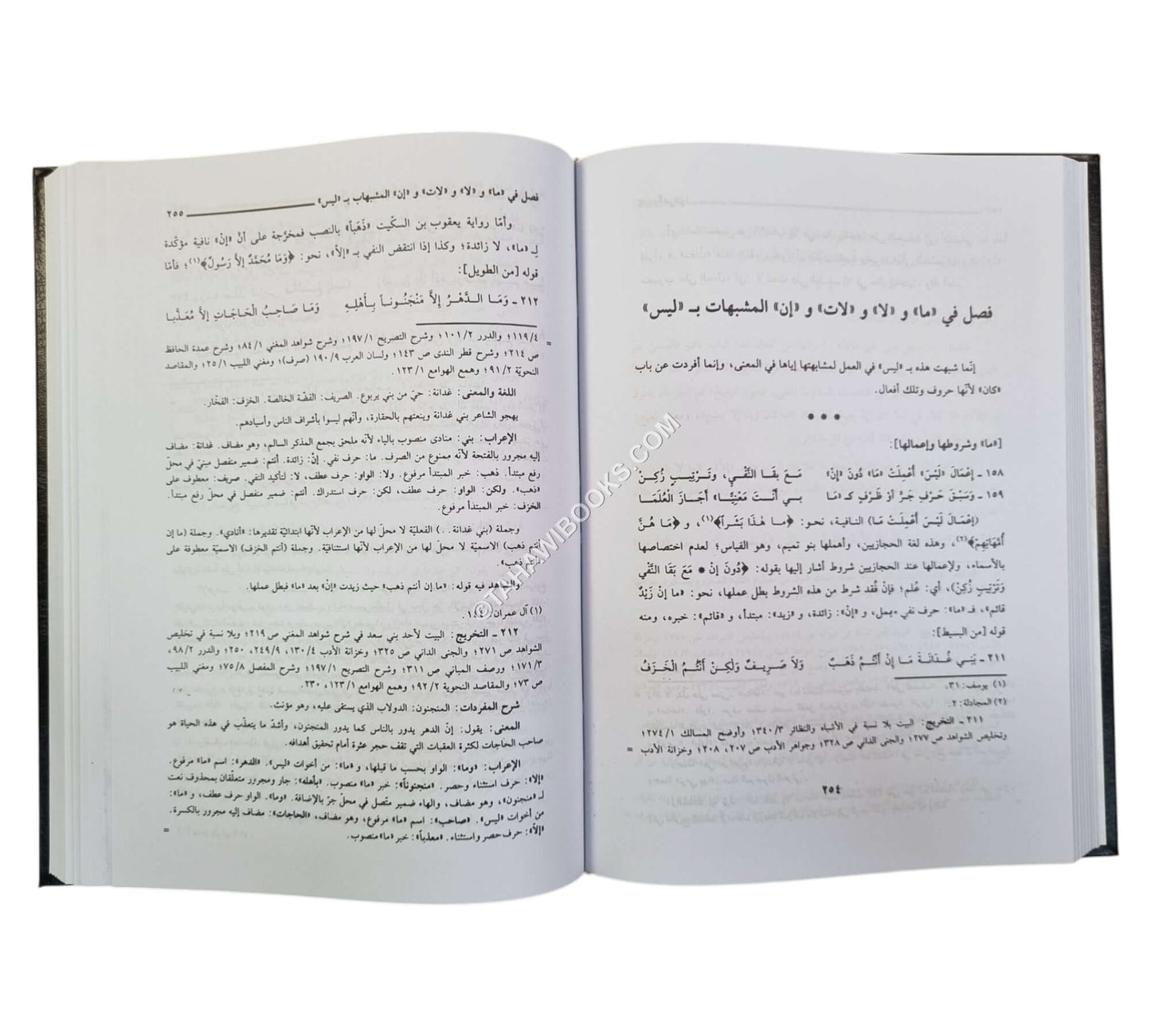 شرح الأشموني على ألفية ابن مالك-العلمية