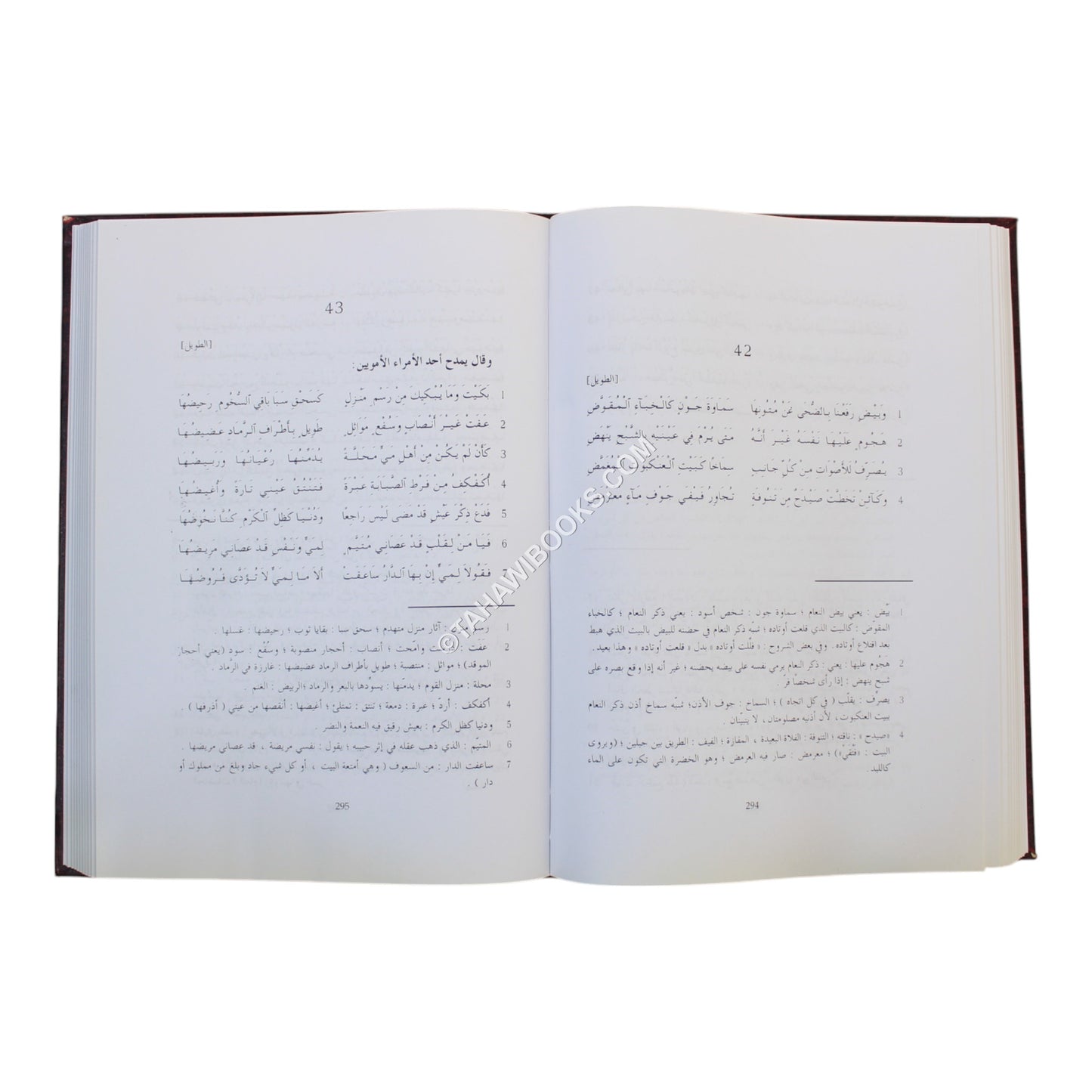 ديوان ذي الرمة