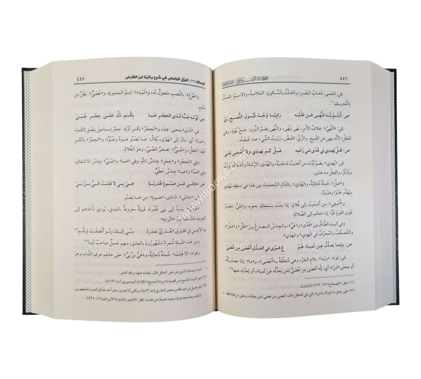مجموع رسائل السيوطي ـ المجموعة الثالثة ـ الفقه وأصول الدين