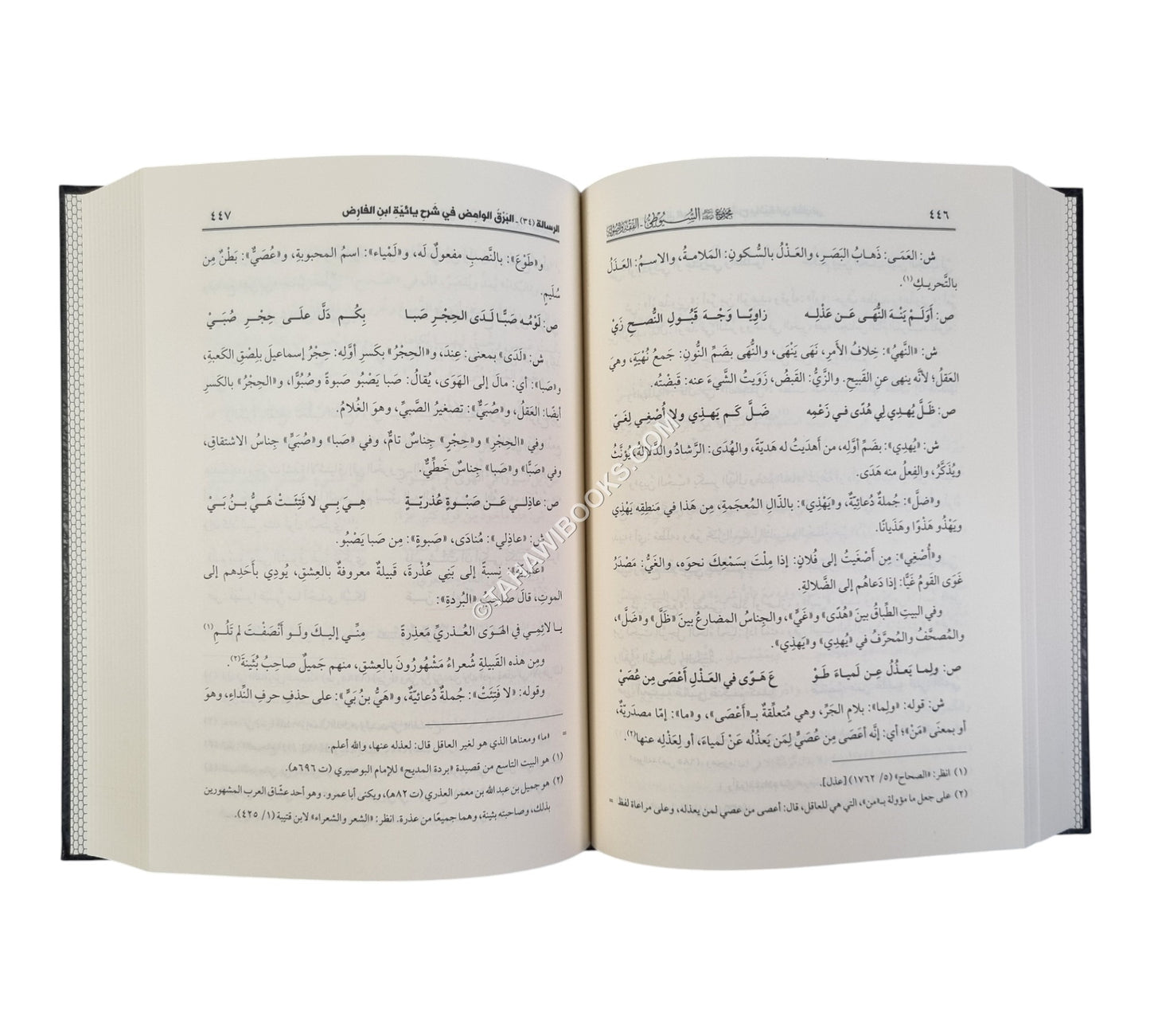 مجموع رسائل السيوطي ـ المجموعة الثالثة ـ الفقه وأصول الدين
