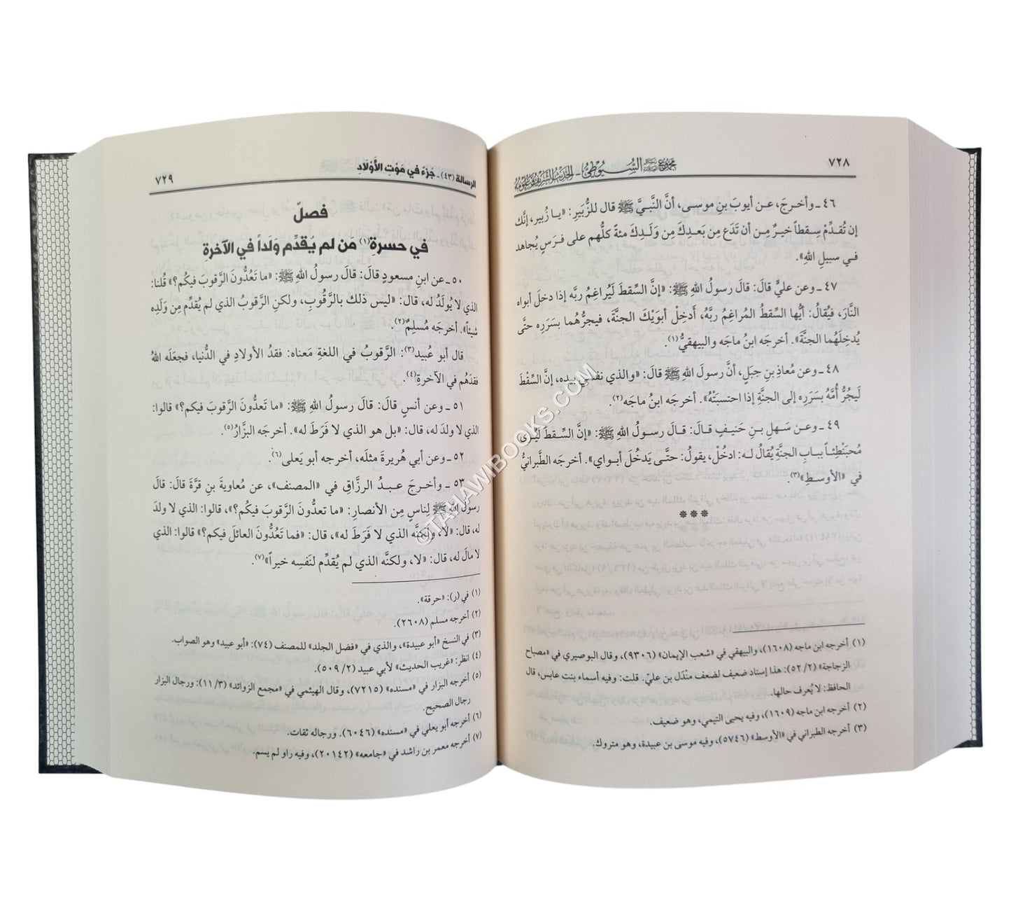 مجموع رسائل السيوطي ـ المجموعة الثانية ـ الحديث الشريف وعلومه