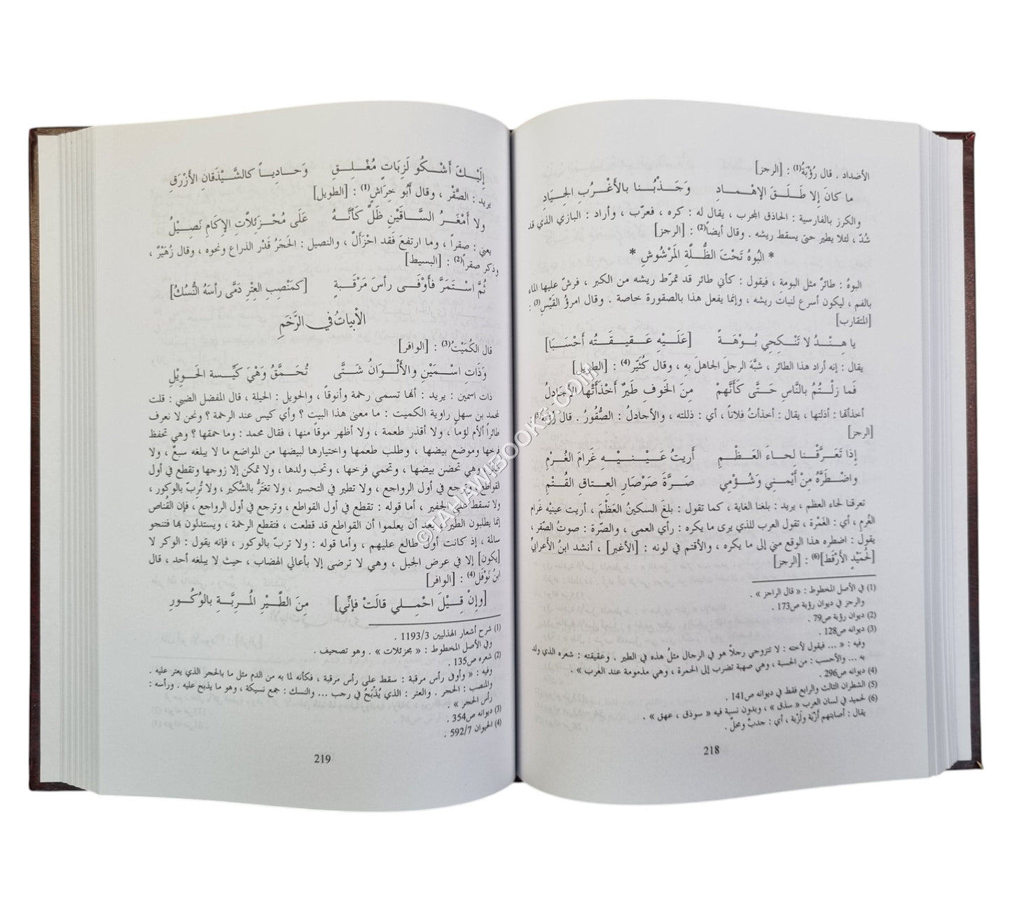 المعاني الكبير