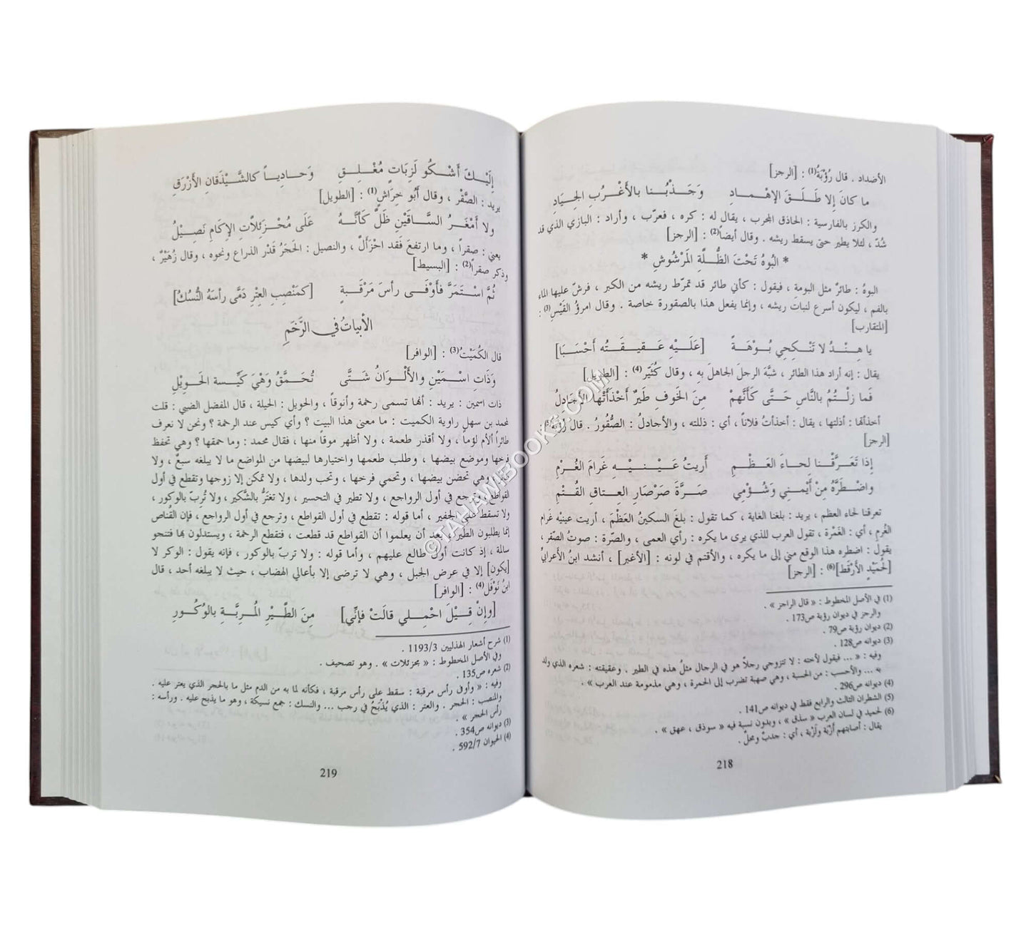 المعاني الكبير في أبيات المعاني