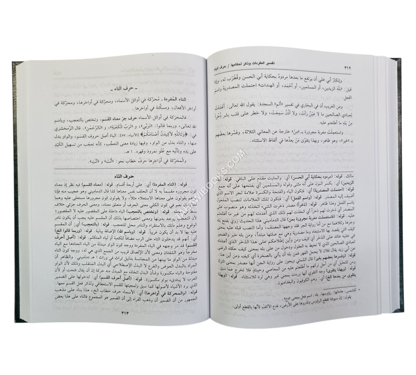 حاشية الدسوقي على مغني اللبيب-العلمية