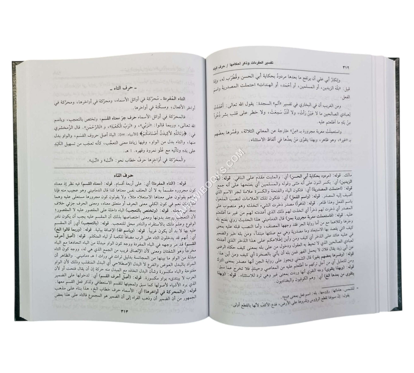حاشية الدسوقي على مغني اللبيب-العلمية