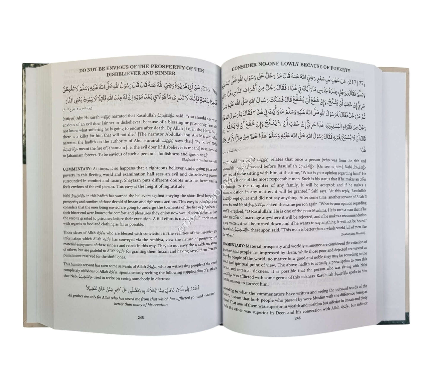 Ma'ariful Hadith-Raudhah