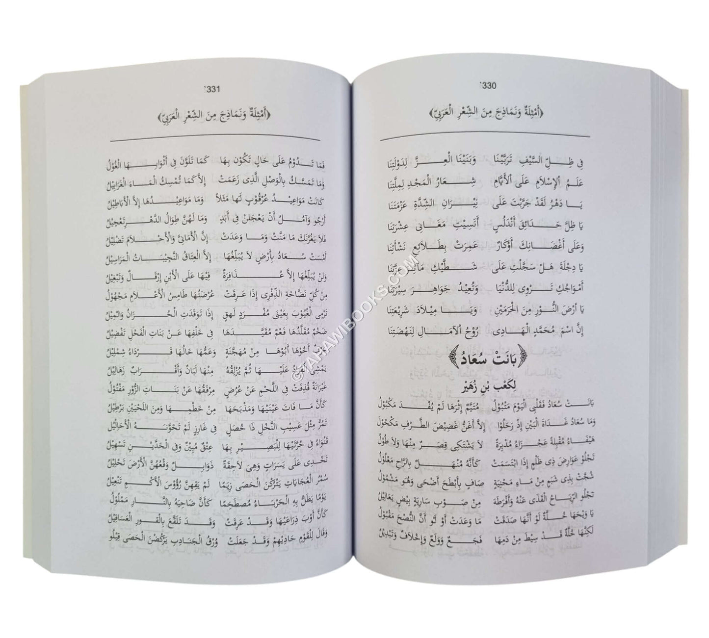 نزهة الطلاب في فن الإعراب