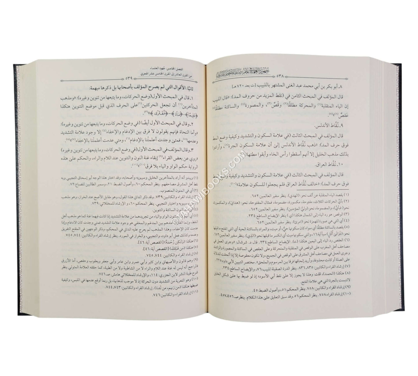 جهود العلماء في علم ضبط المصحف الشريف