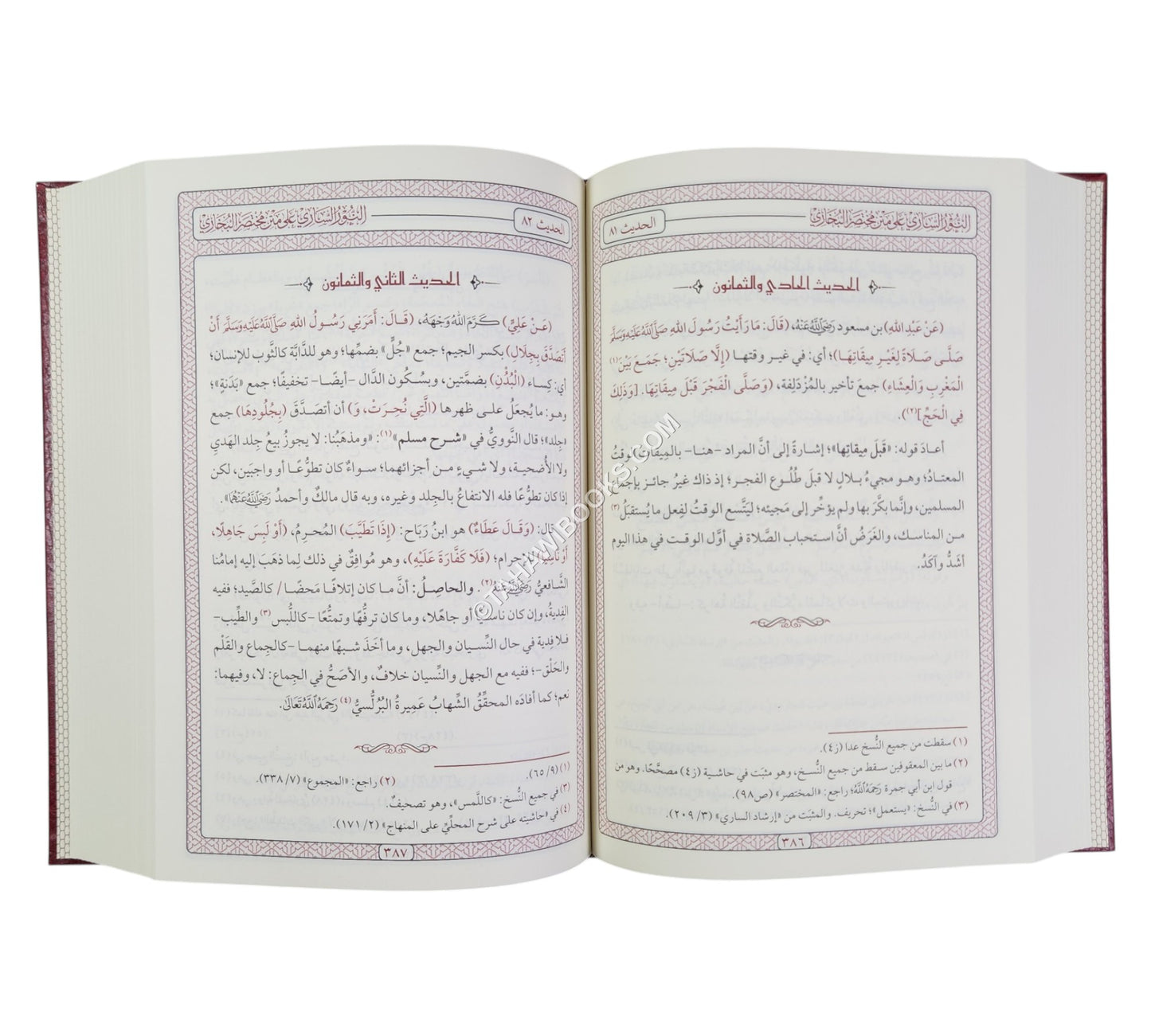 النور الساري على متن مختصر البخاري