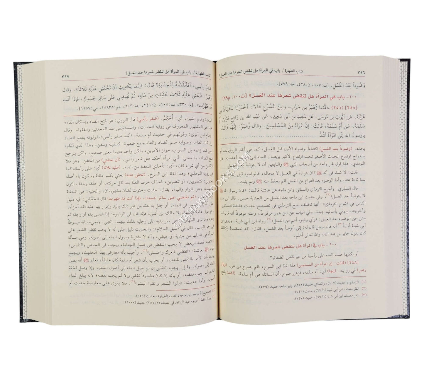 عون المعبود شرح سنن أبي داود-الفيحاء