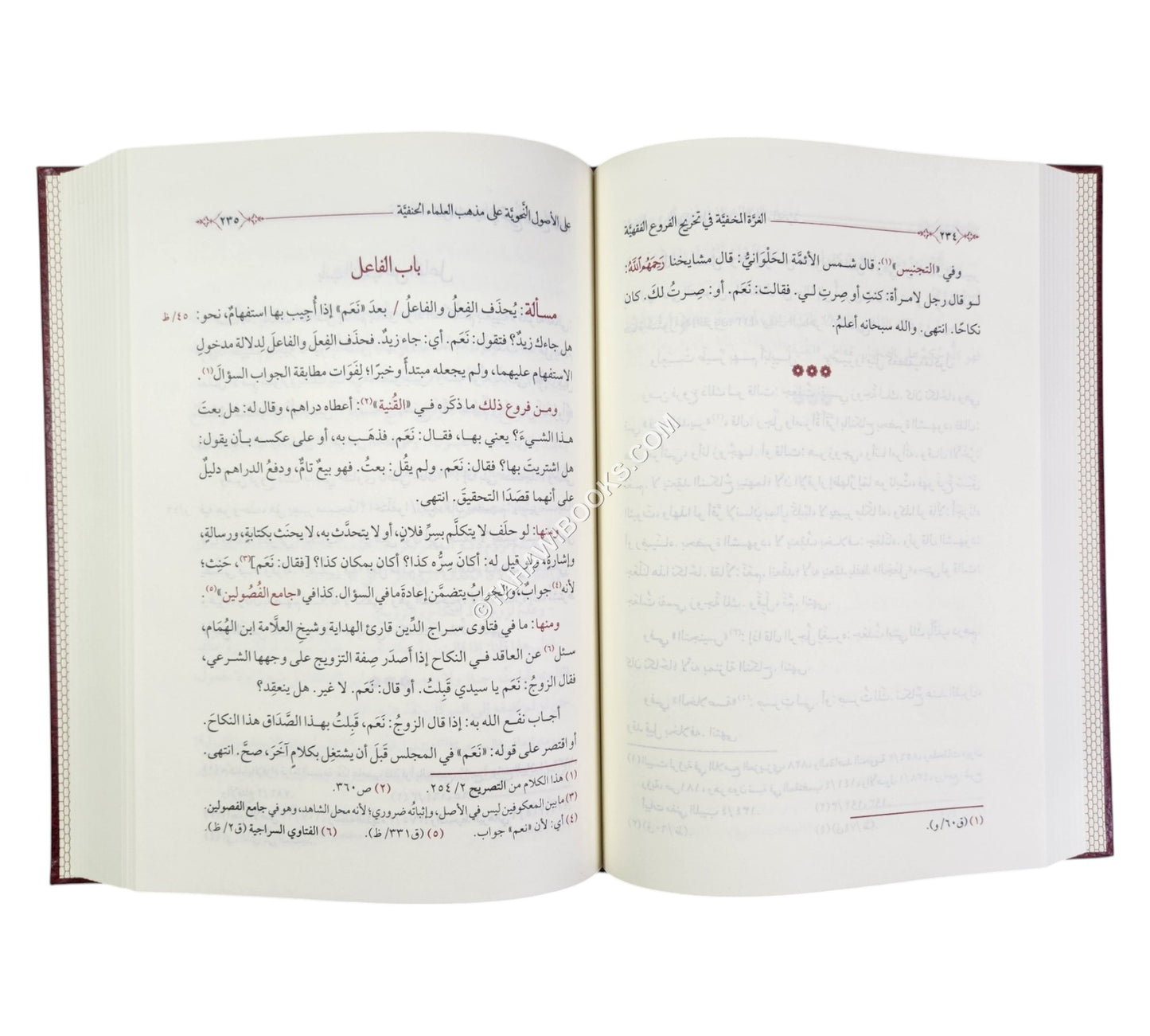 الغرة المخفية في تخريج الفروع الفقهية على الأصول النحوية على مذهب العلماء الحنفية