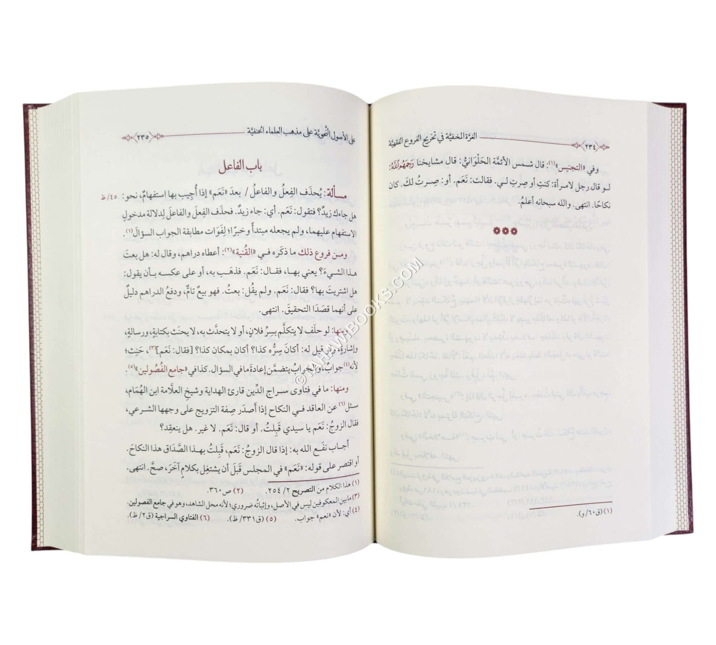 الغرة المخفية في تخريج الفروع الفقهية على الأصول النحوية على مذهب العلماء الحنفية
