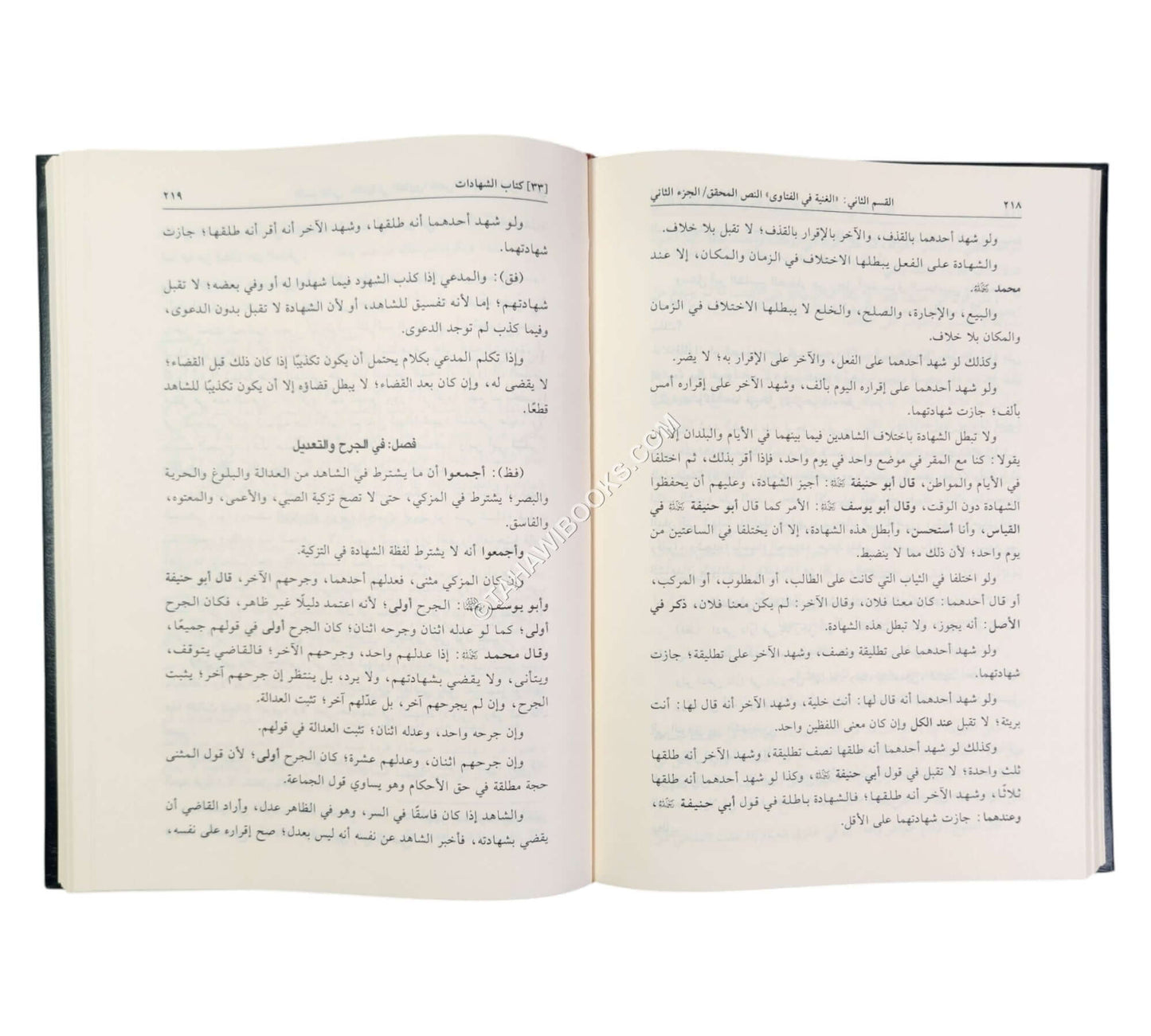 الغنية في الفتاوى على مذهب الإمام الأعظم أبي حنيفة