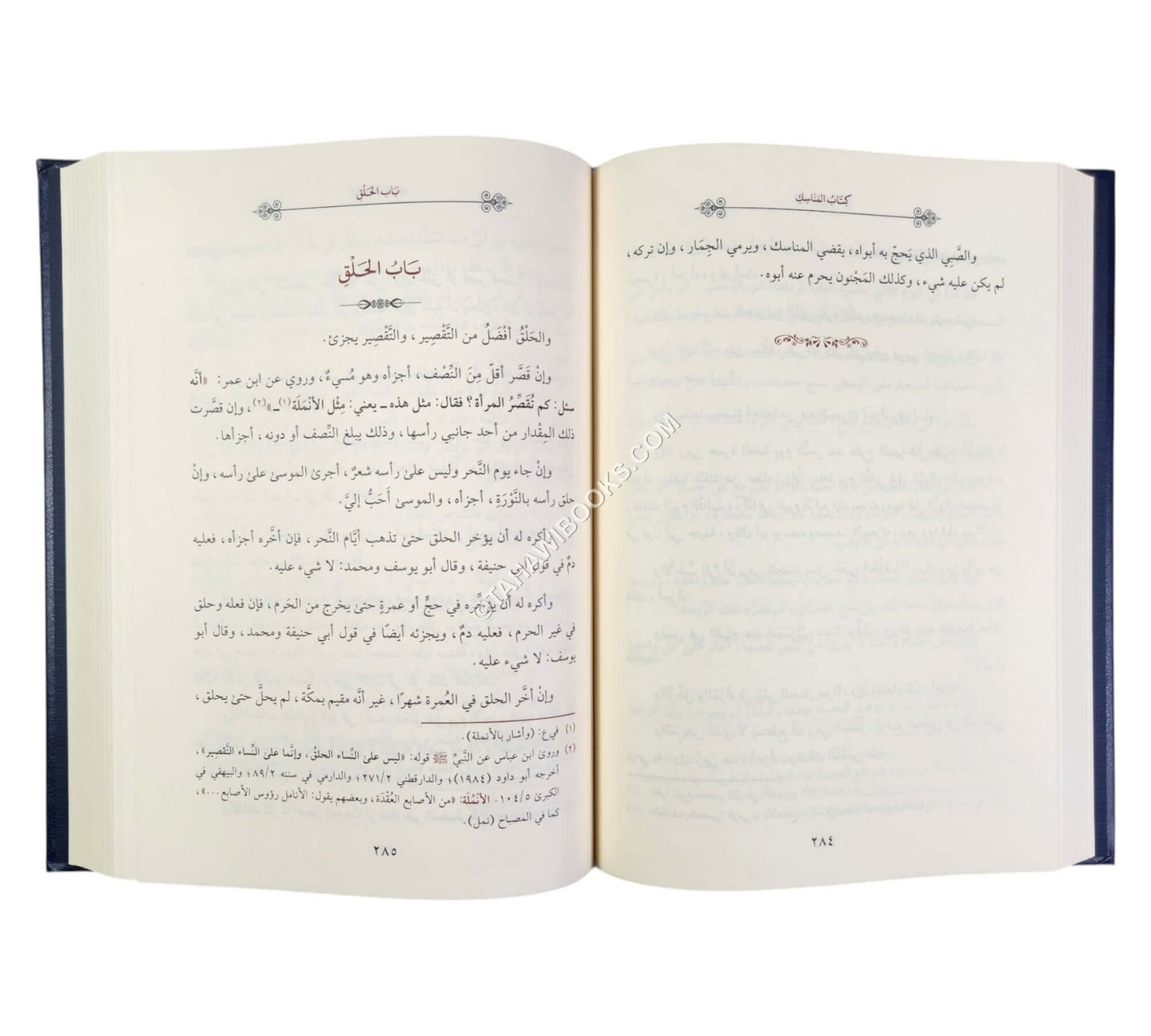 المختصر الكافي للحاكم الشهيد
