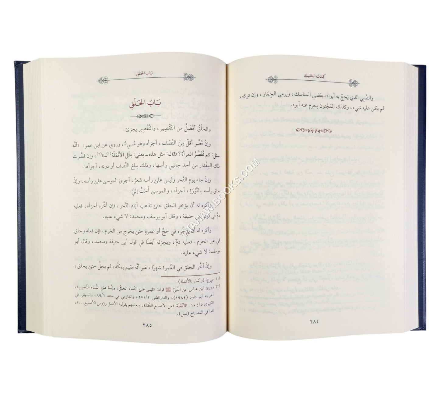 المختصر الكافي للحاكم الشهيد