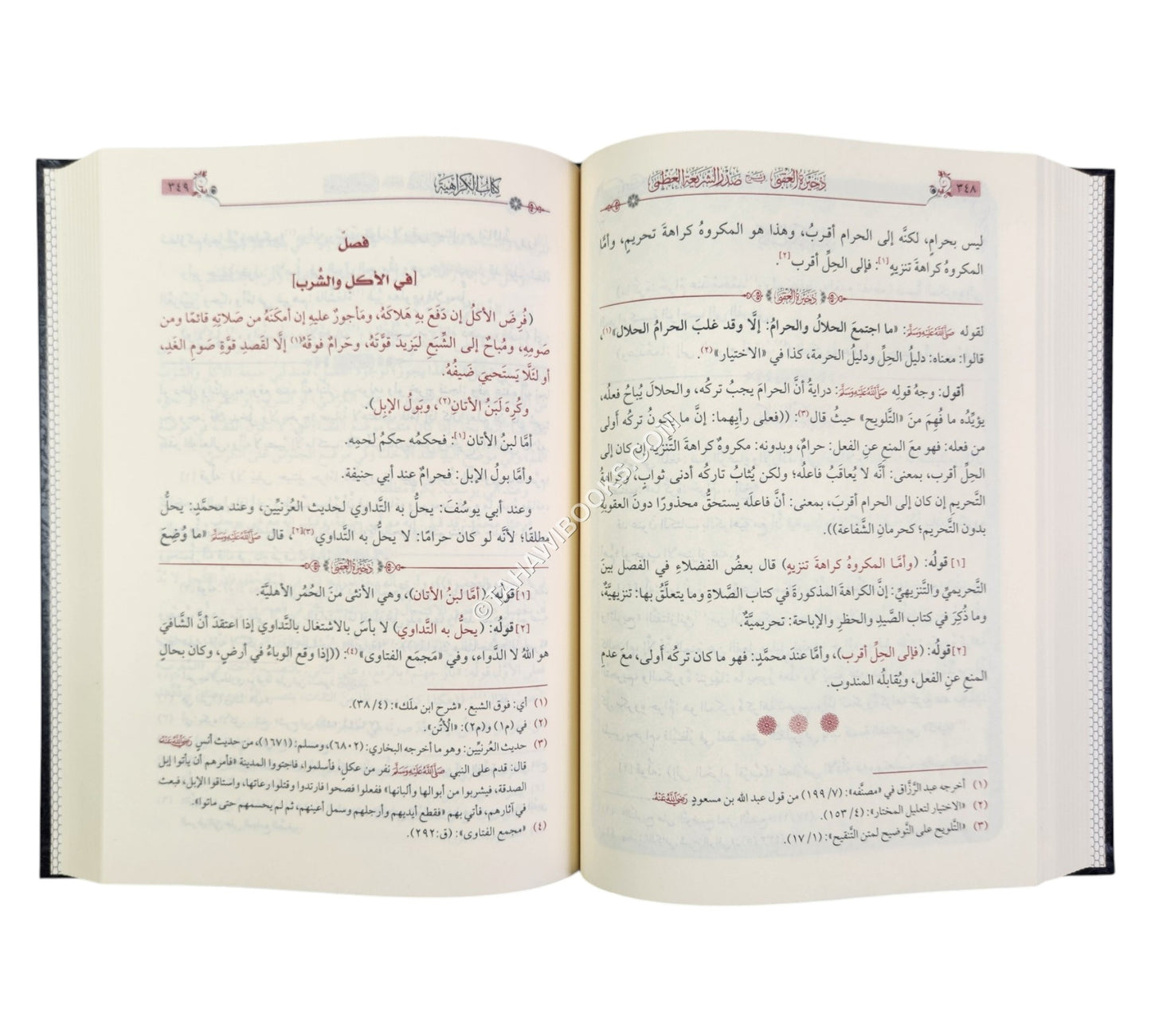 ذخيرة العقبى في شرح صدر الشريعة العظمى:حاشية على شرح الوقاية لأخي جلبي
