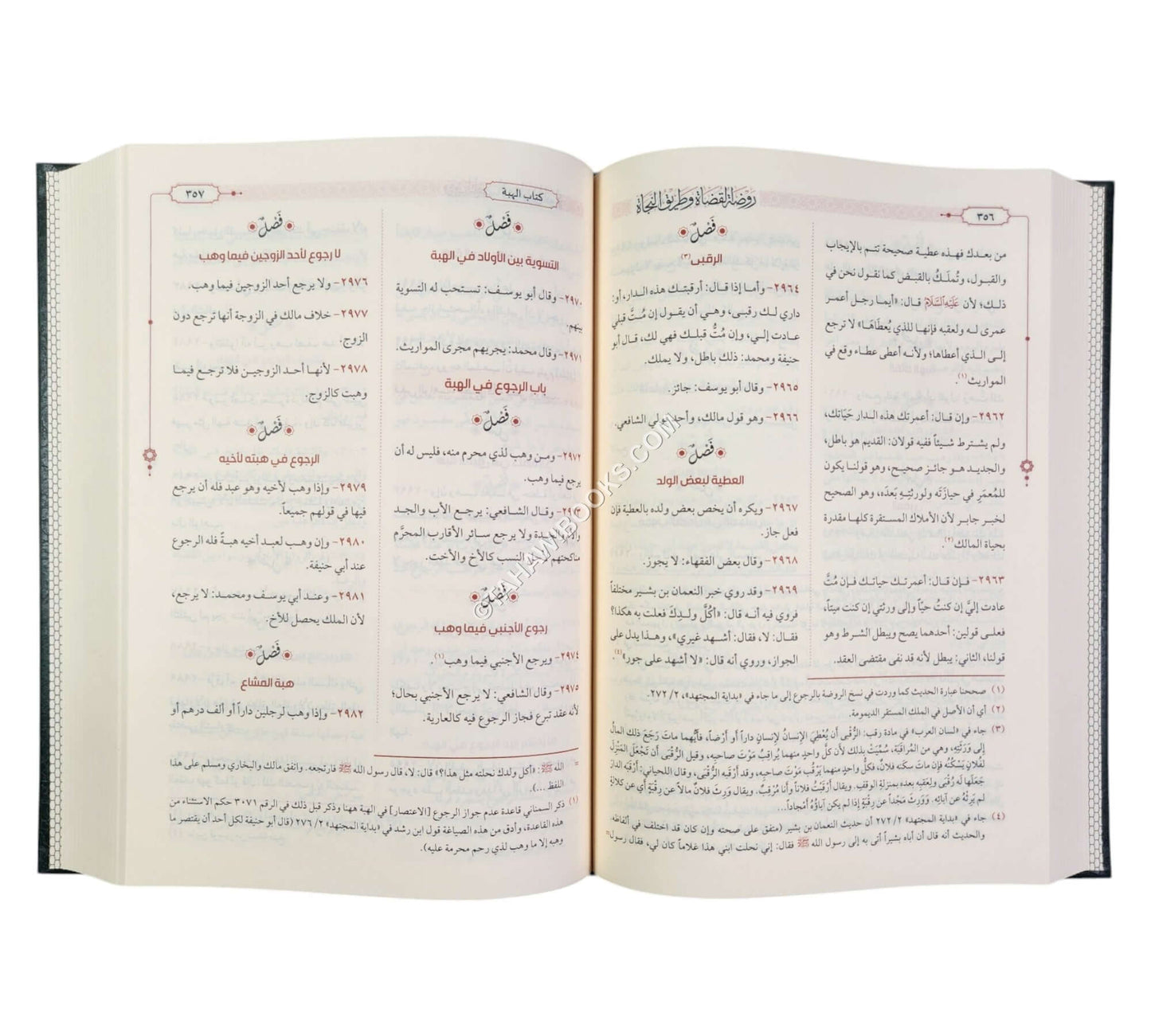 روضة القضاة وطريق النجاة-الرسالة ناشرون