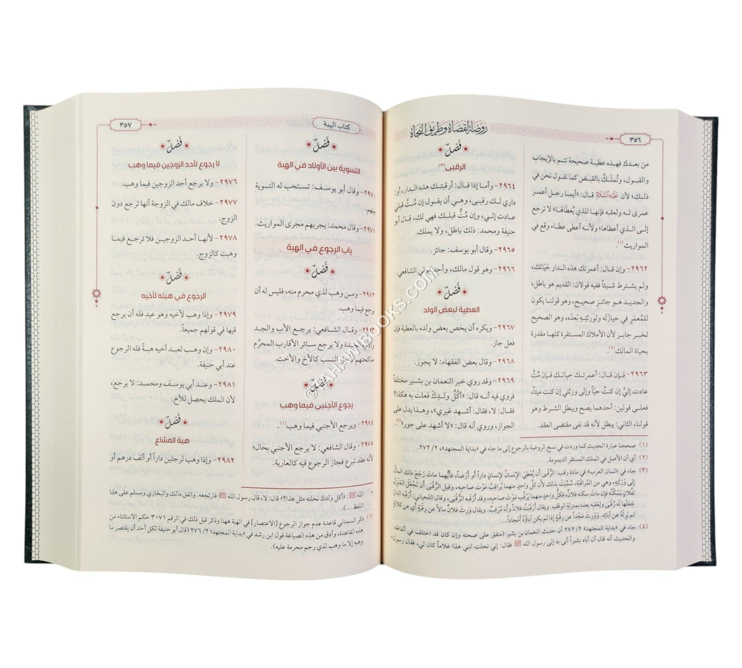 روضة القضاة وطريق النجاة-الرسالة ناشرون