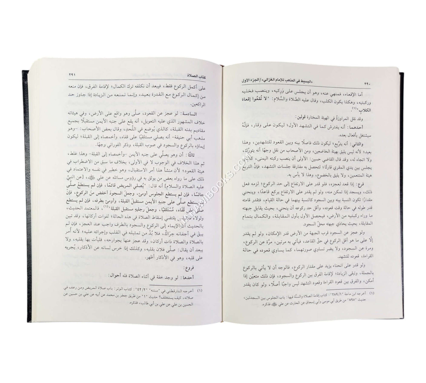 البسيط في المذهب