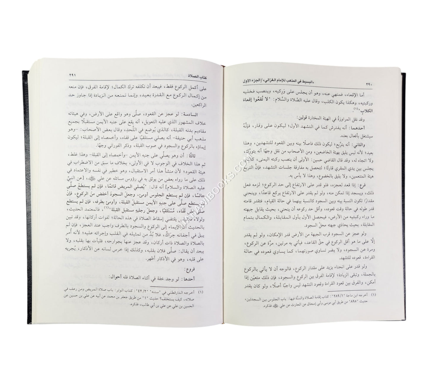 البسيط في المذهب