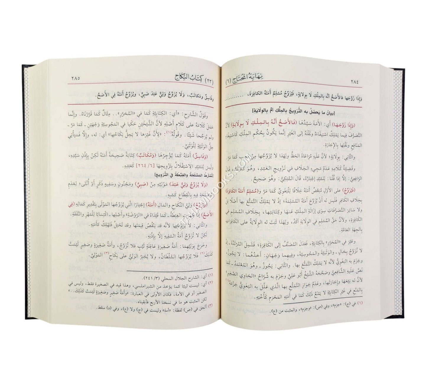 نهاية المحتاج إلى شرح المنهاج-الفيحاء