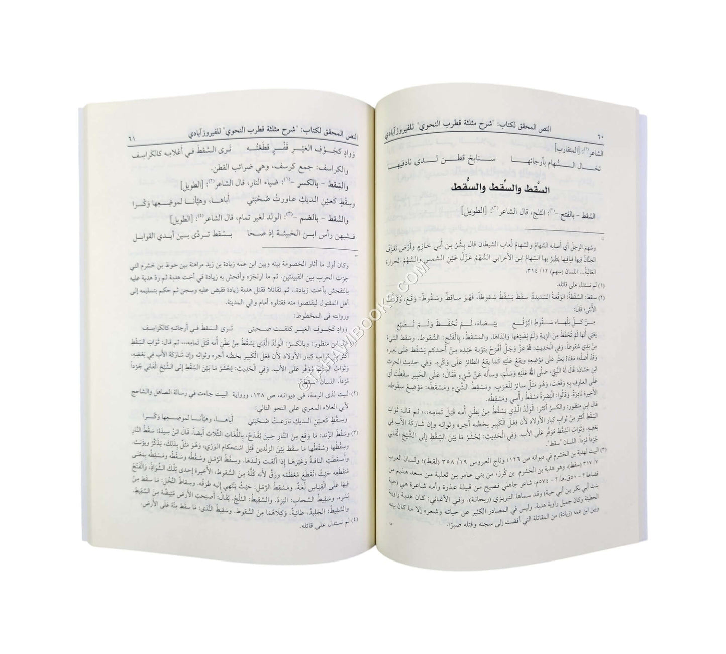 شرح مثلثة قطرب النحوي