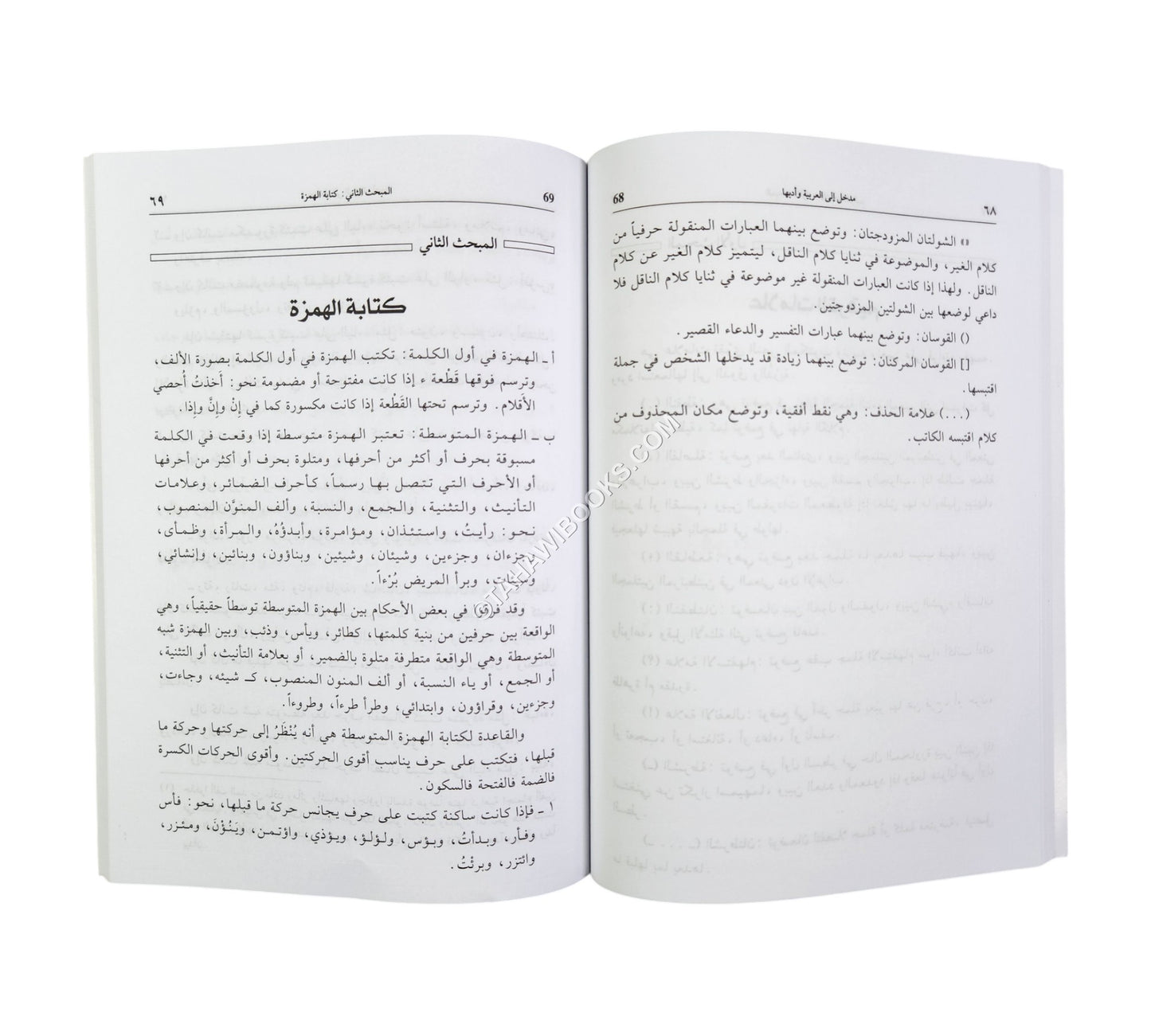 مدخل الى العربية وآدابها للجامعيين
