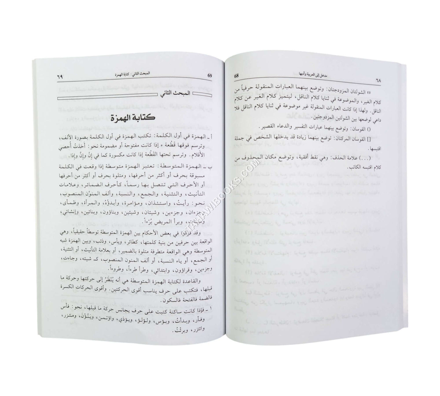 مدخل الى العربية وآدابها للجامعيين