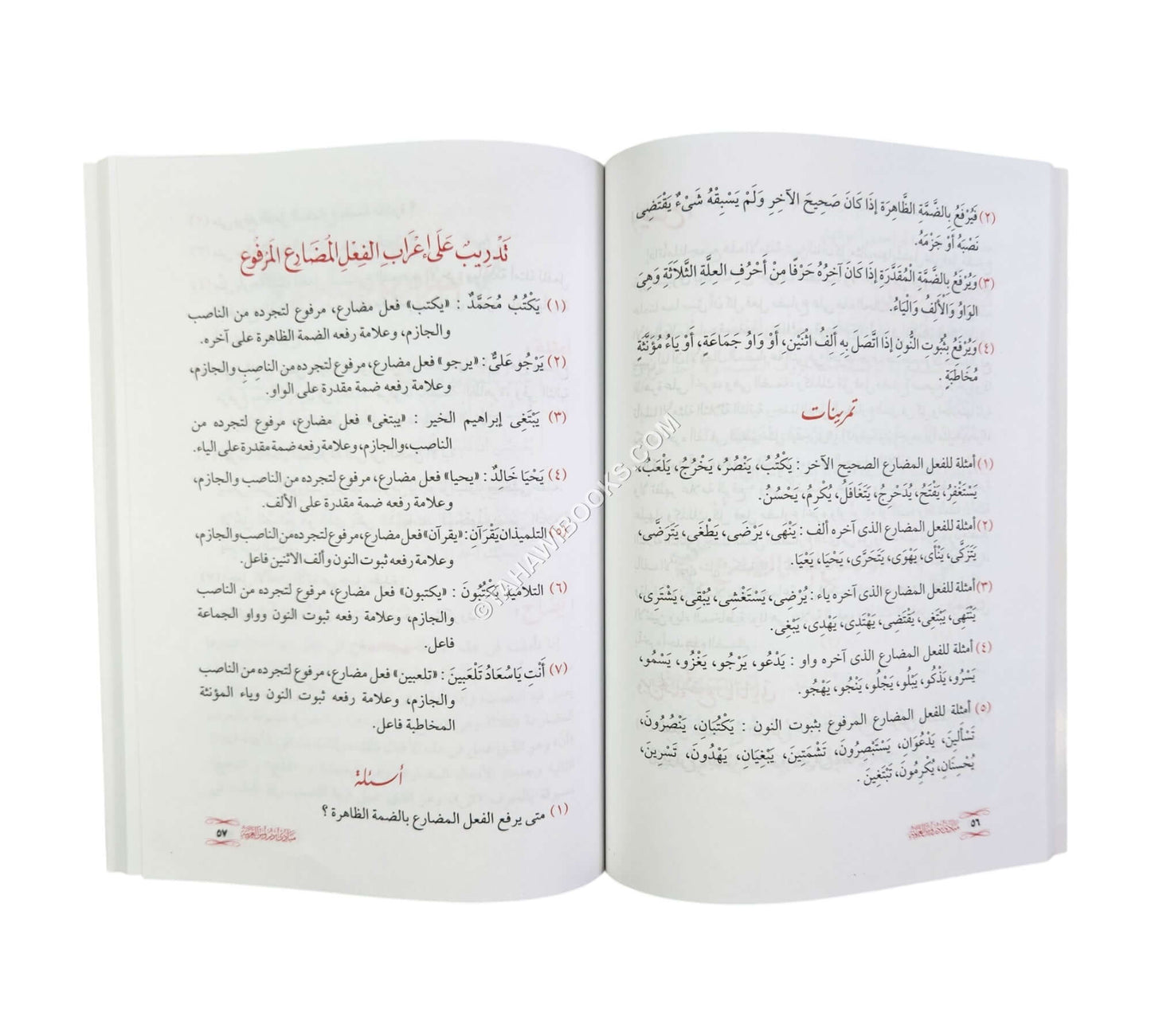 مبادئ دروس العربية