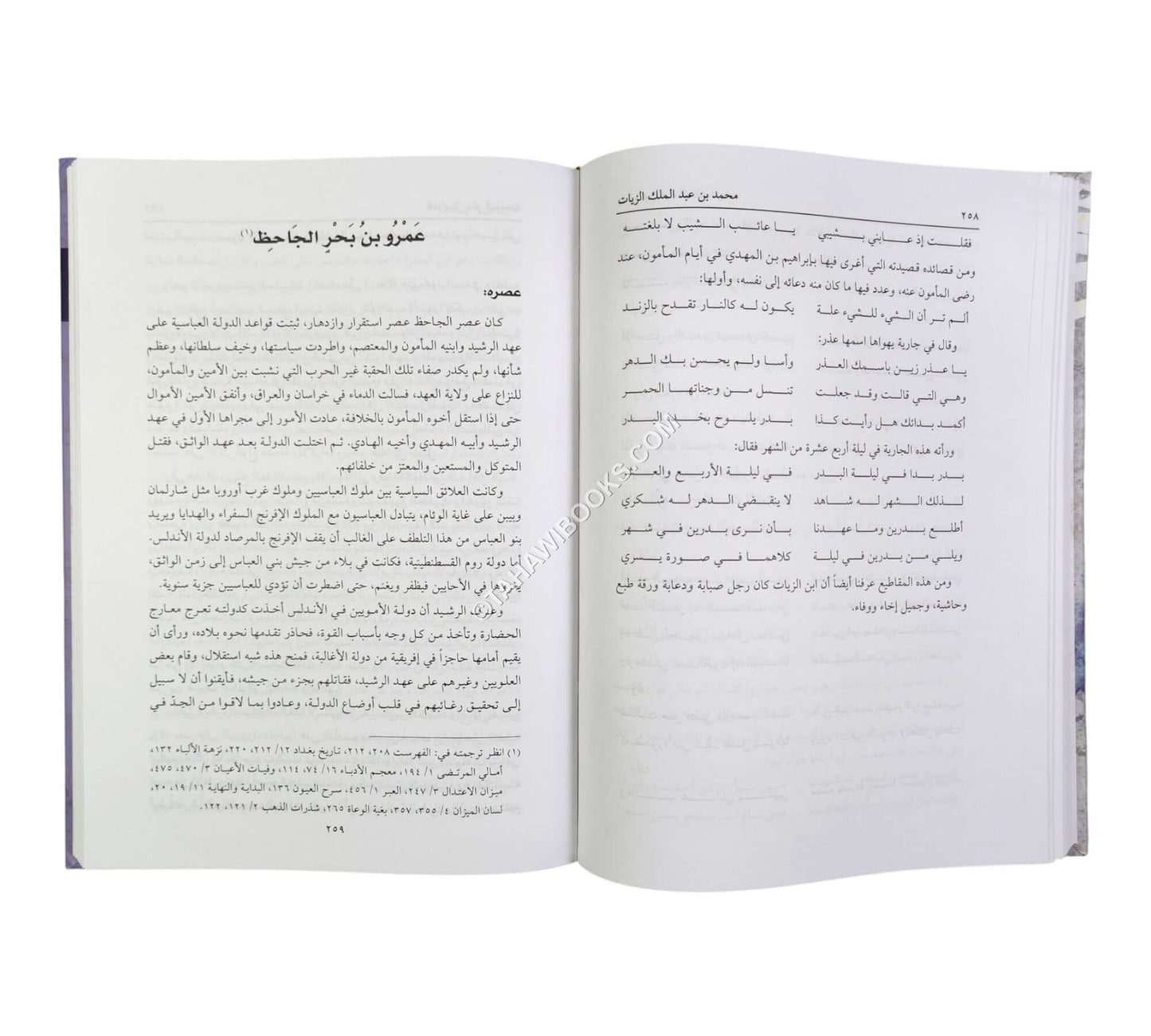 أمراء البيان-العلمية (تحليل أساليب عشرة من أكابر كتاب الحضارة الإسلامية)