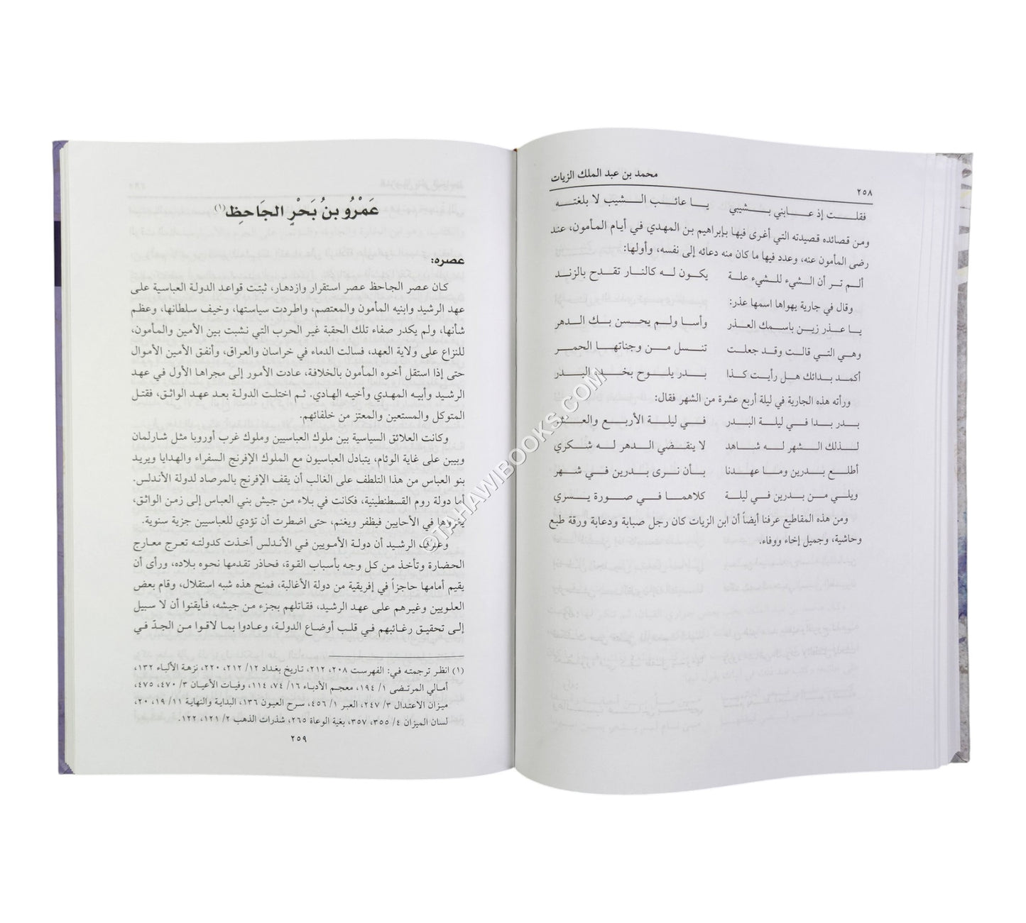 أمراء البيان-العلمية (تحليل أساليب عشرة من أكابر كتاب الحضارة الإسلامية)