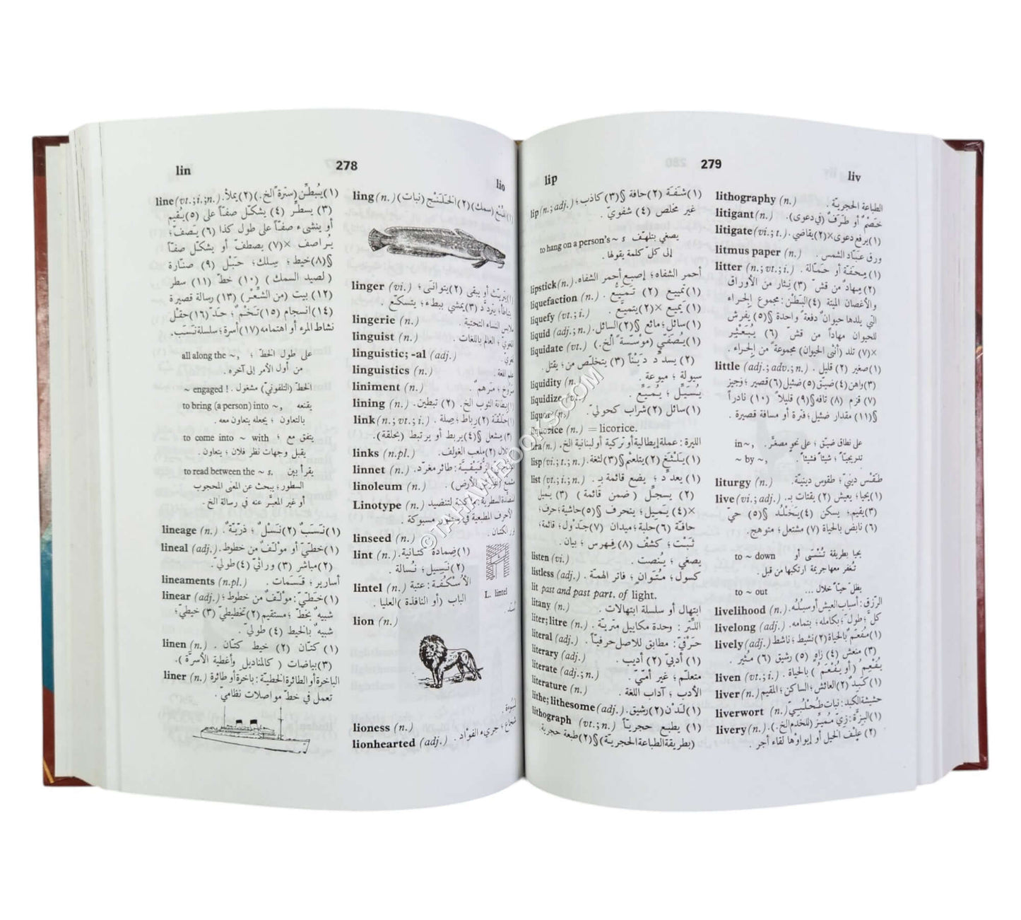 المورد الميسر: إنكليزي - عربي
