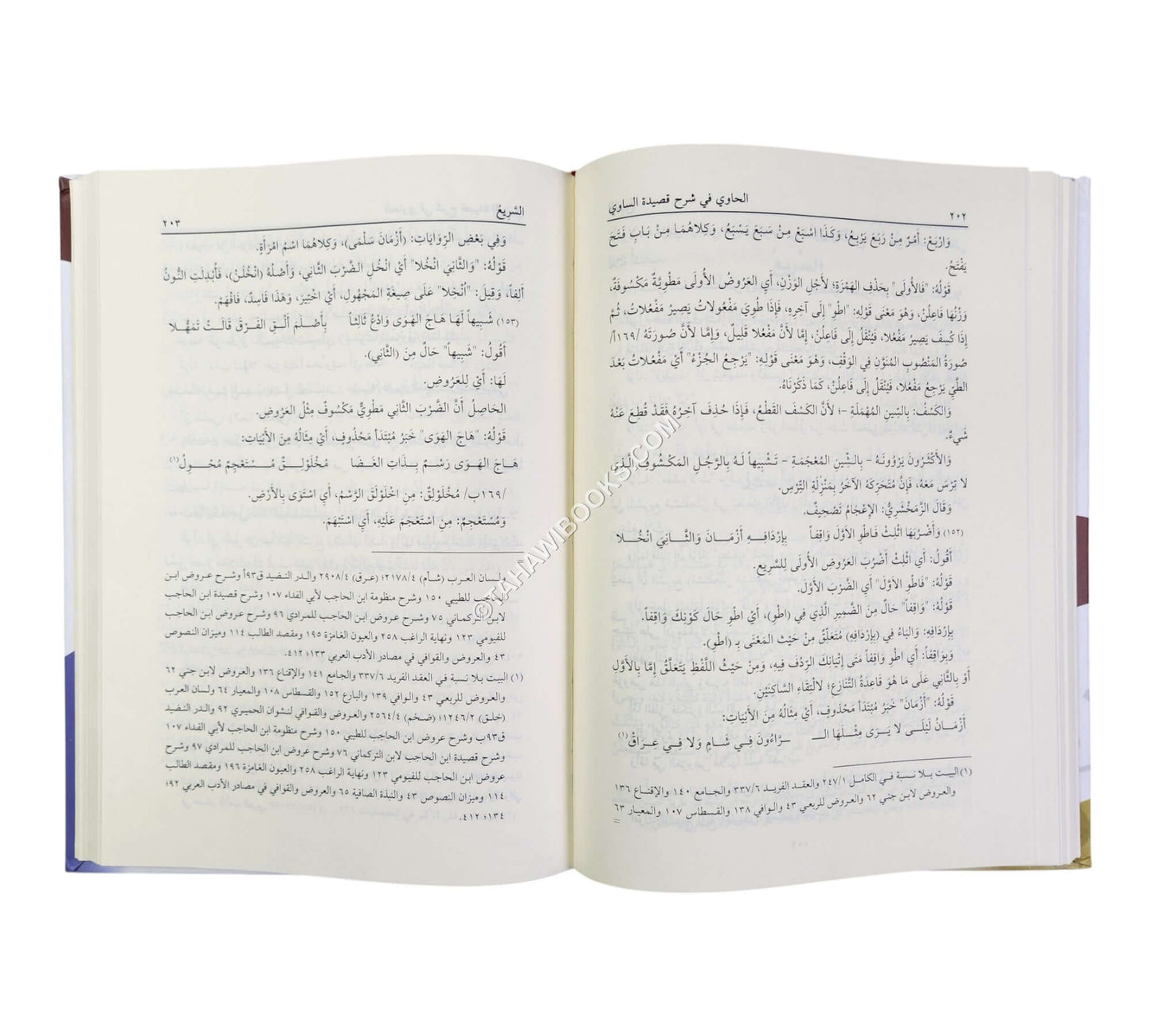 الحاوي في شرح قصيدة الساوي في علم العروض