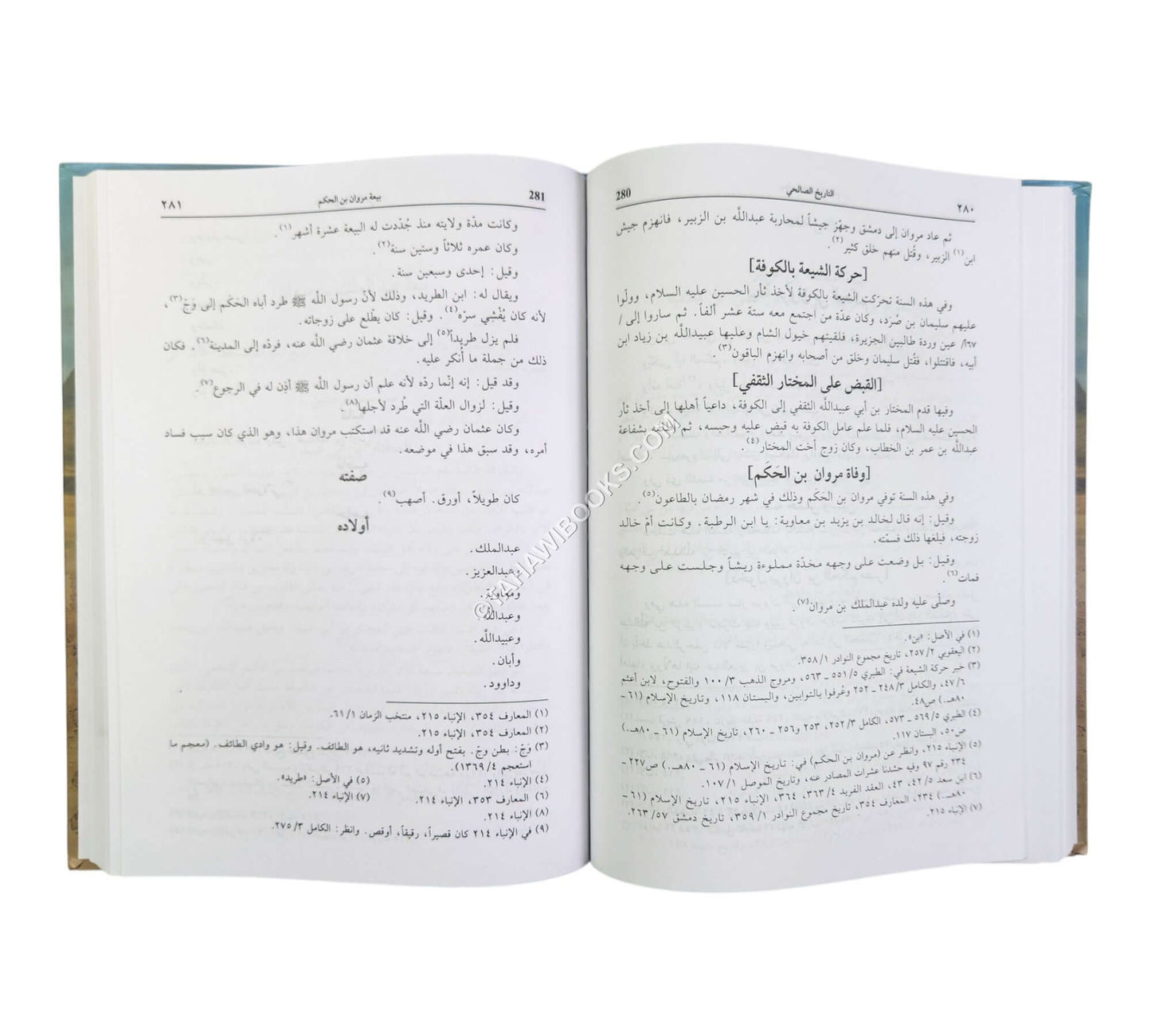 تاريخ الصالحي