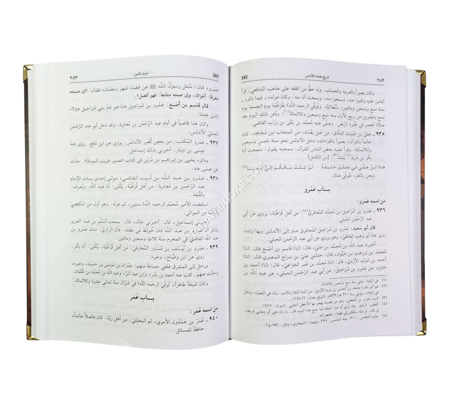 تاريخ علماء الاندلس