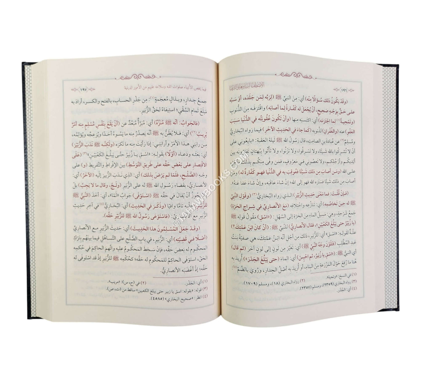 الإصطفا لبيان معاني الشفا