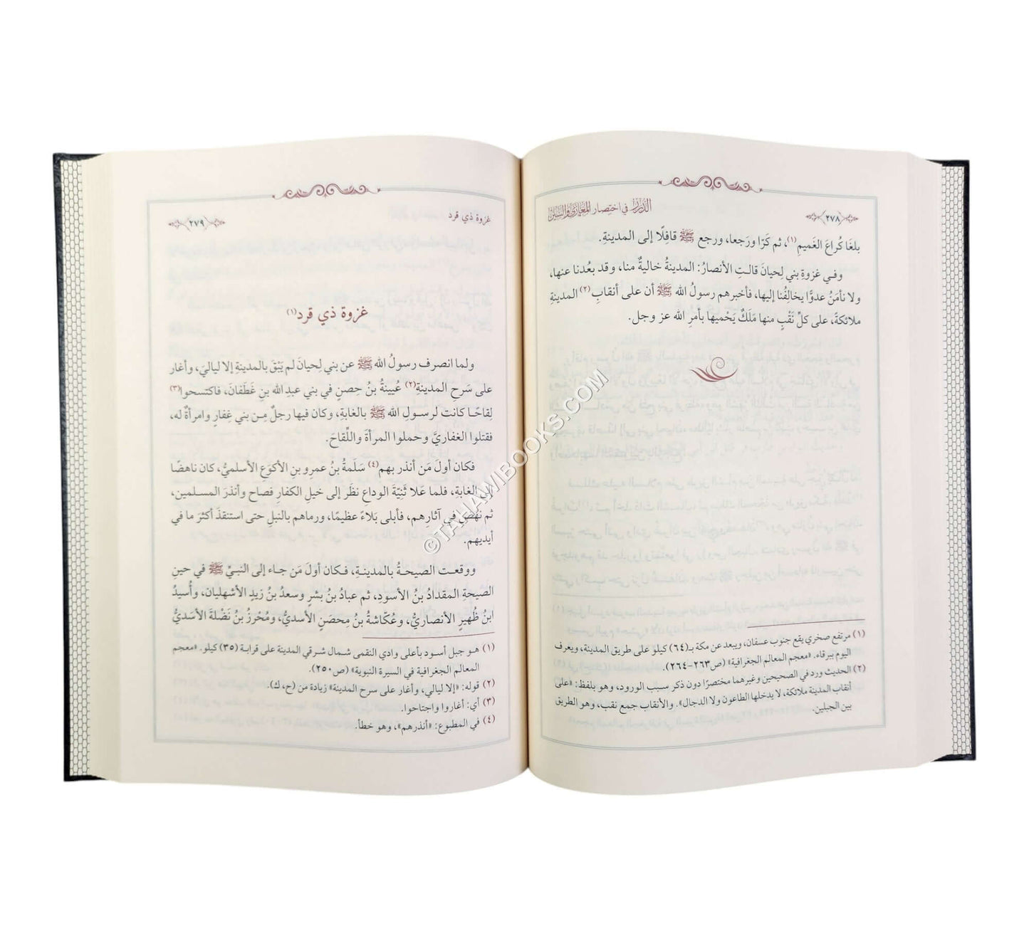 الدرر في اختصار المغازي والسير