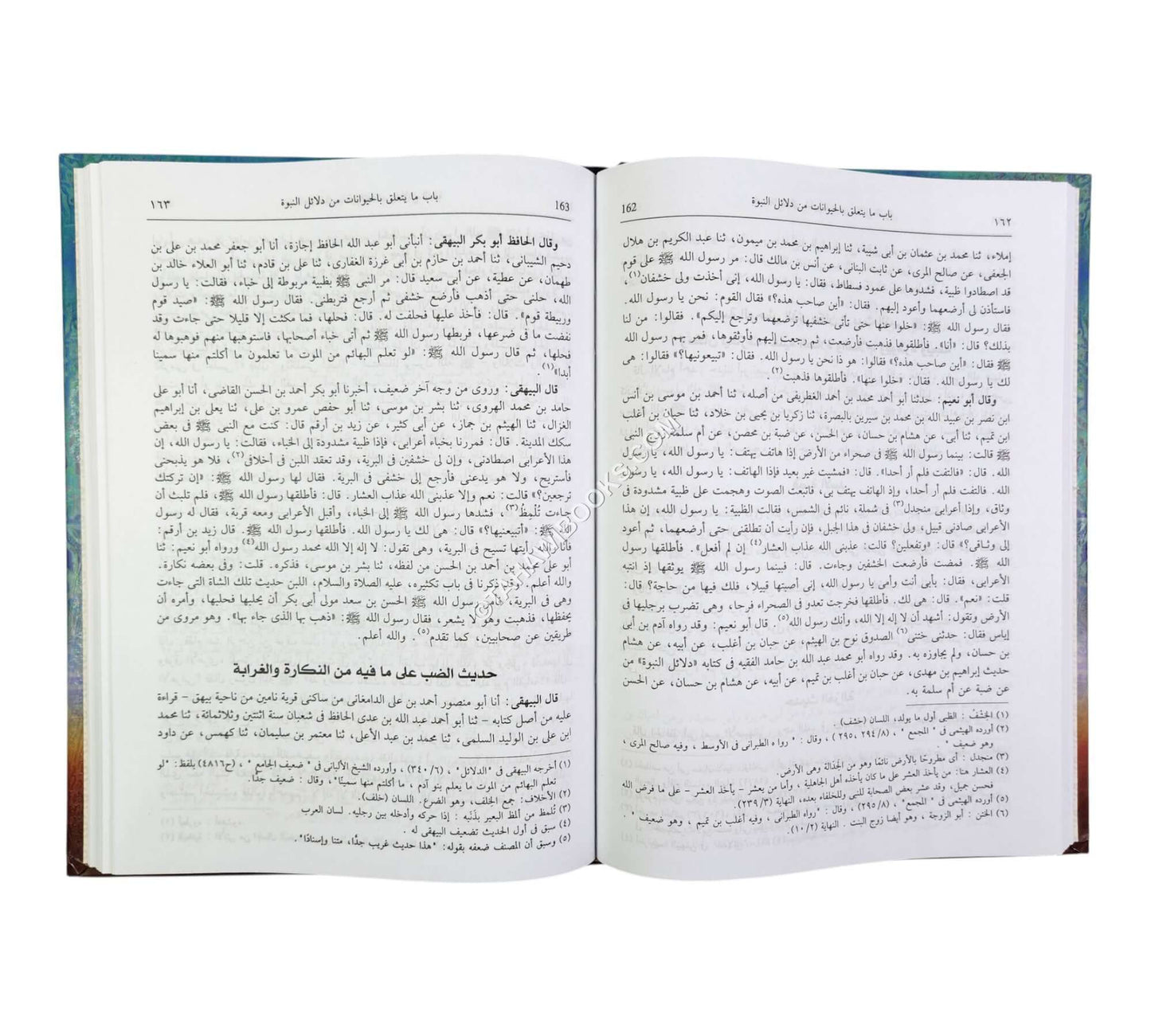 شمائل الرسول ودلائل نبوّته