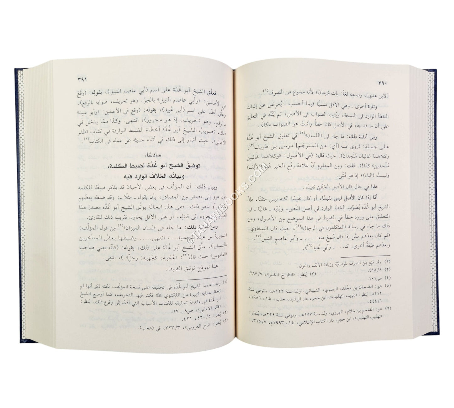 الشيخ عبد الفتاح أبو غدة ومنهجه في تحقيق النصوص ونشرها