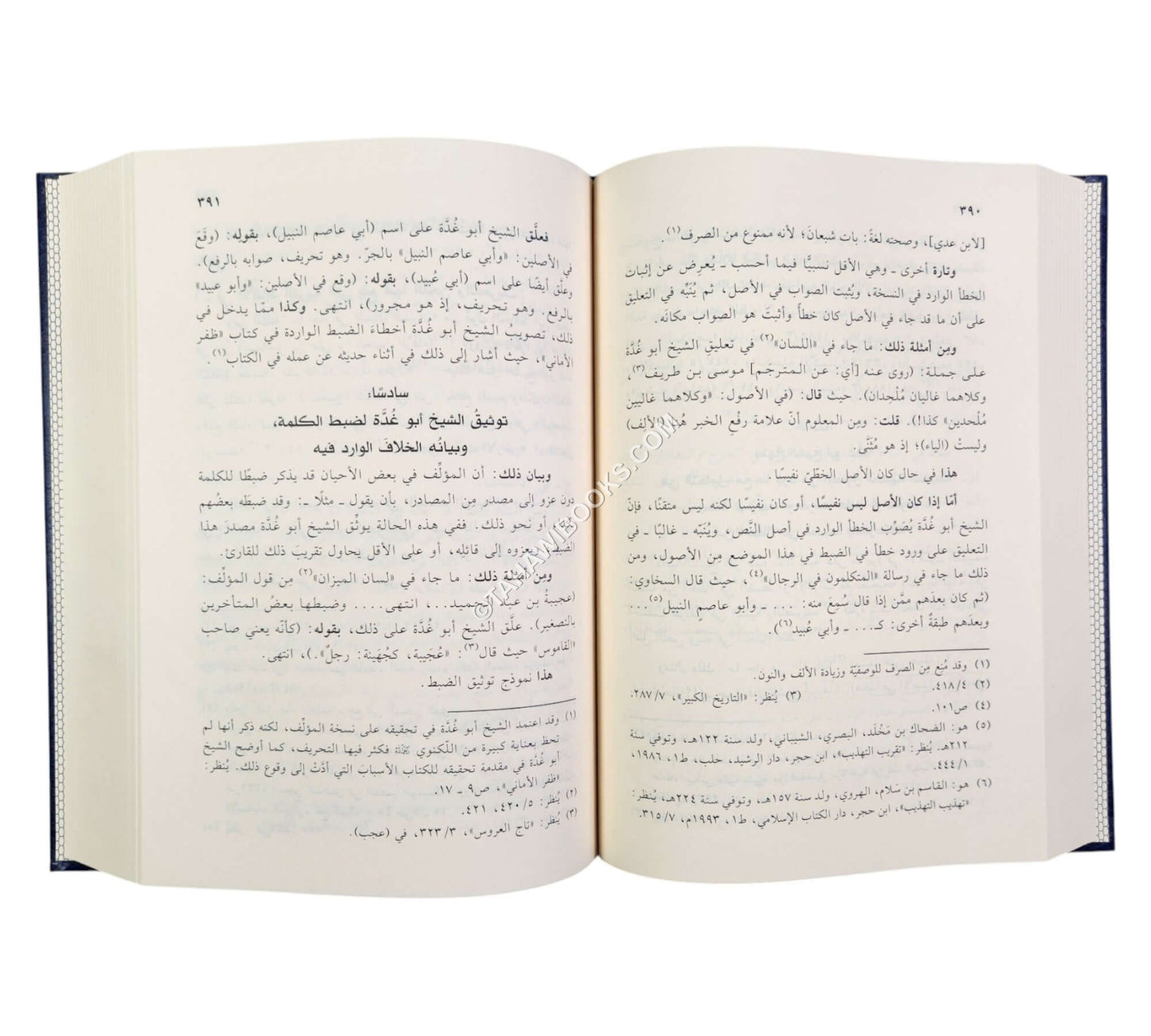 الشيخ عبد الفتاح أبو غدة ومنهجه في تحقيق النصوص ونشرها