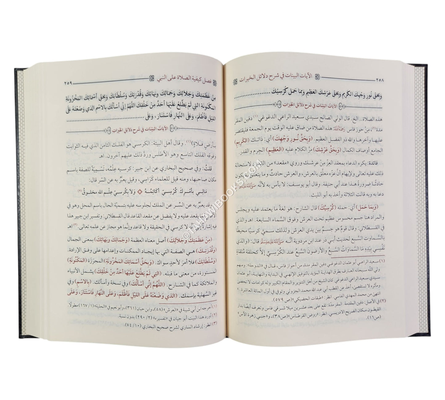 الآيات البينات في شرح دلائل الخيرات