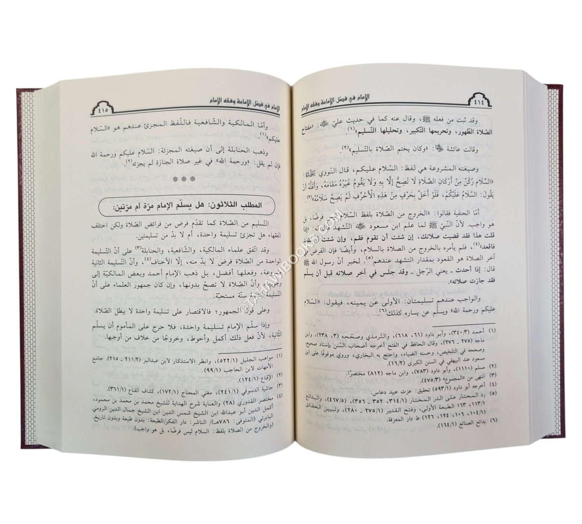 الإمام في فضل الإمامة وفقه الإمام