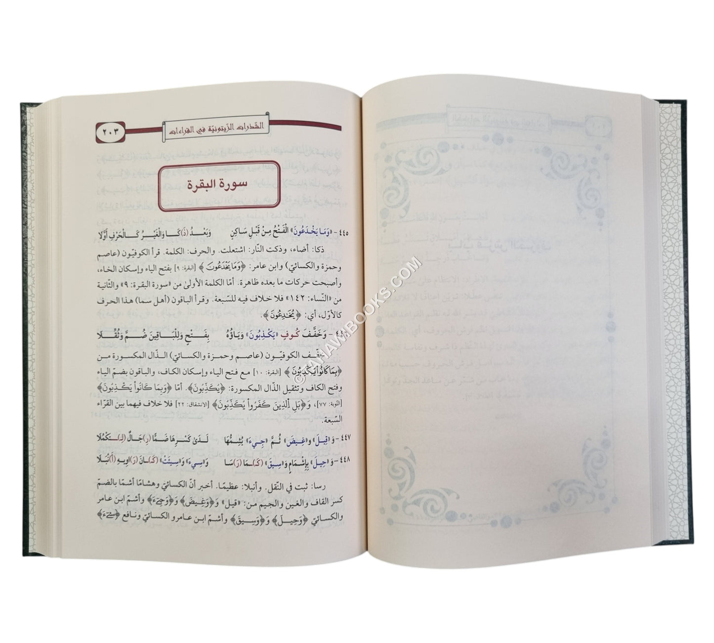 الشذرات الزيتونية في القراءات العشر المرضية شرحًا للشاطبية والدرة المضيئة