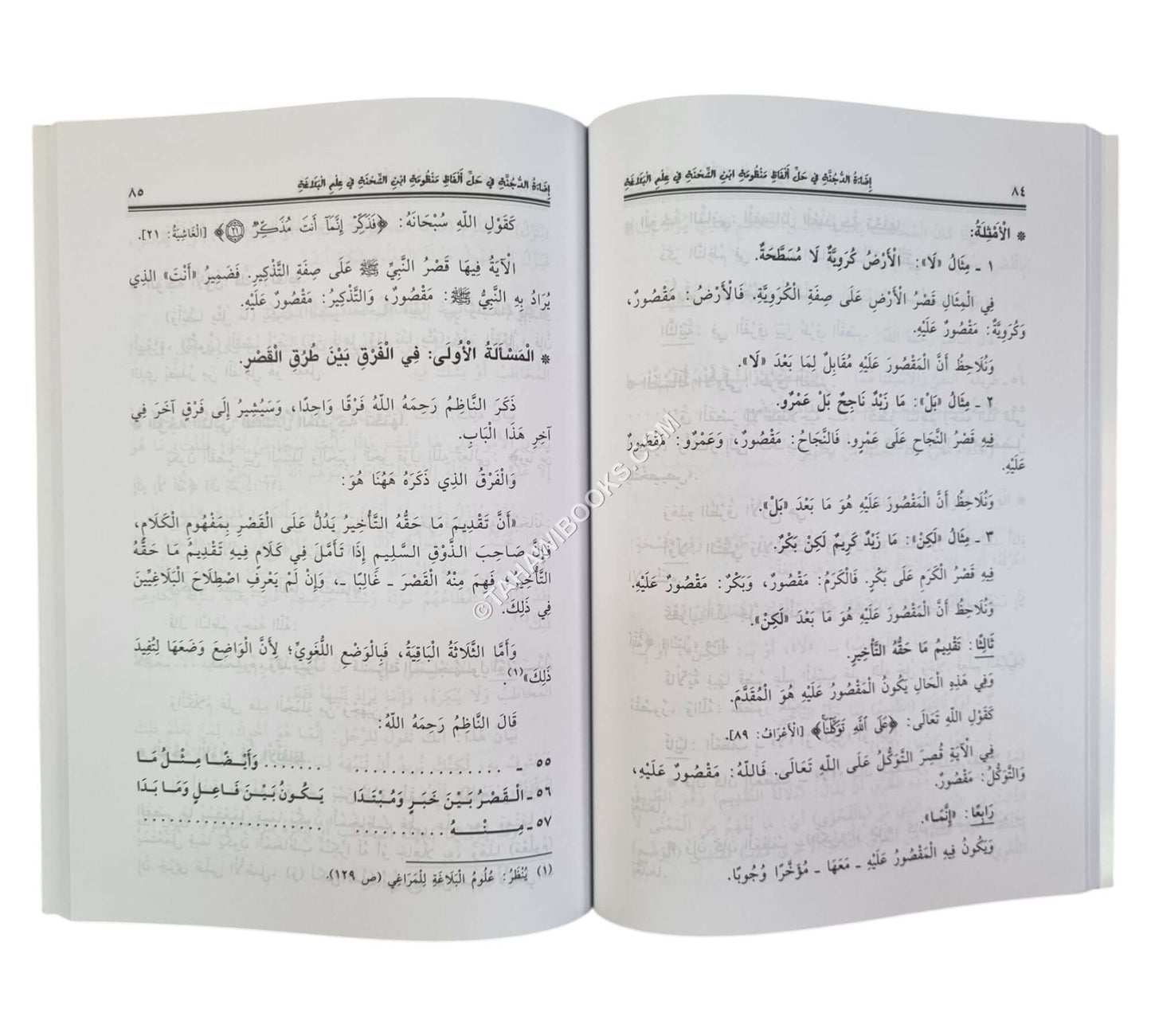 إضاءة الدجنة في حل ألفاظ منظومة ابن الشحنة في علم البلاغة
