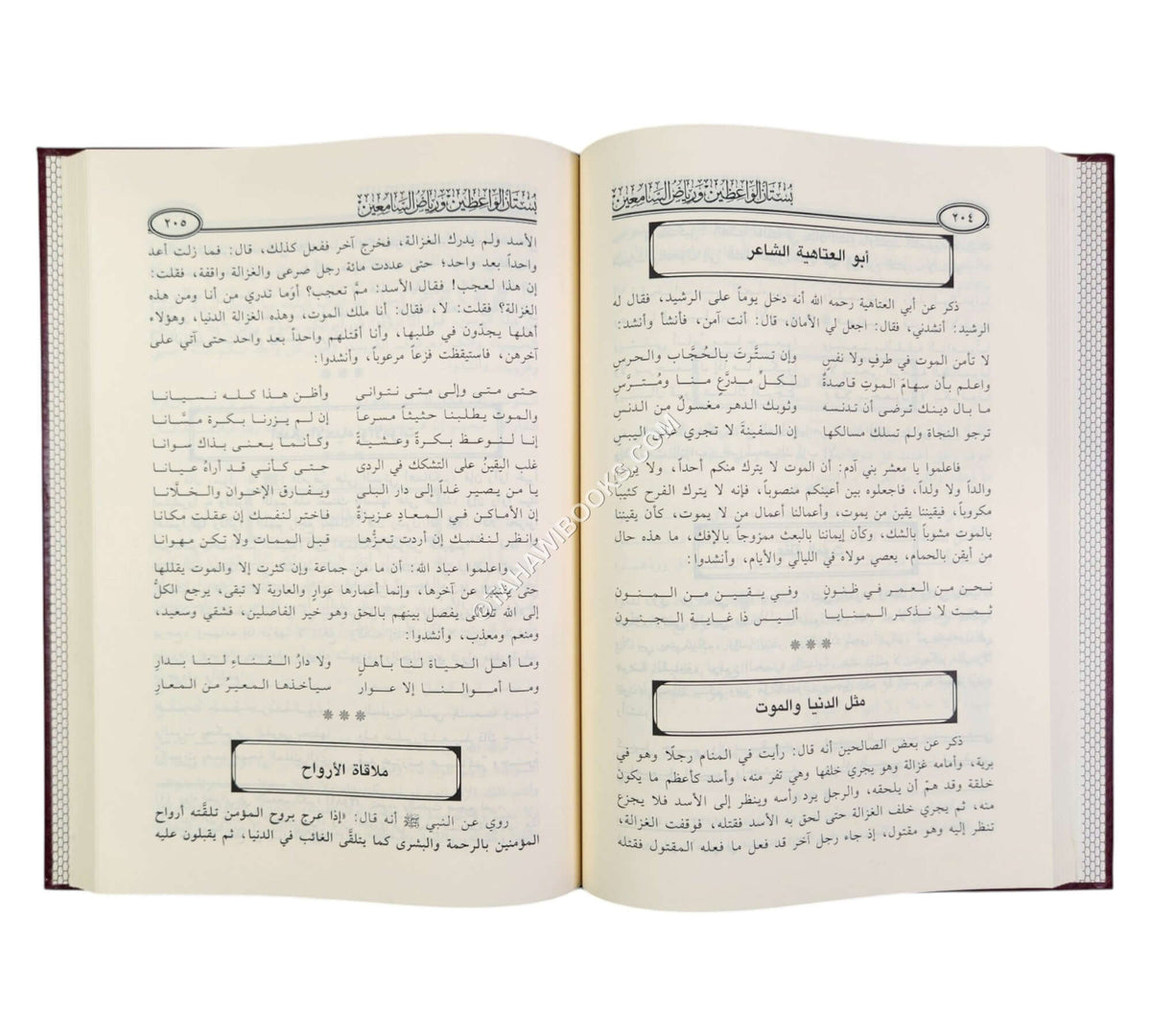 بستان الواعظين ورياض السامعين-ابن حزم
